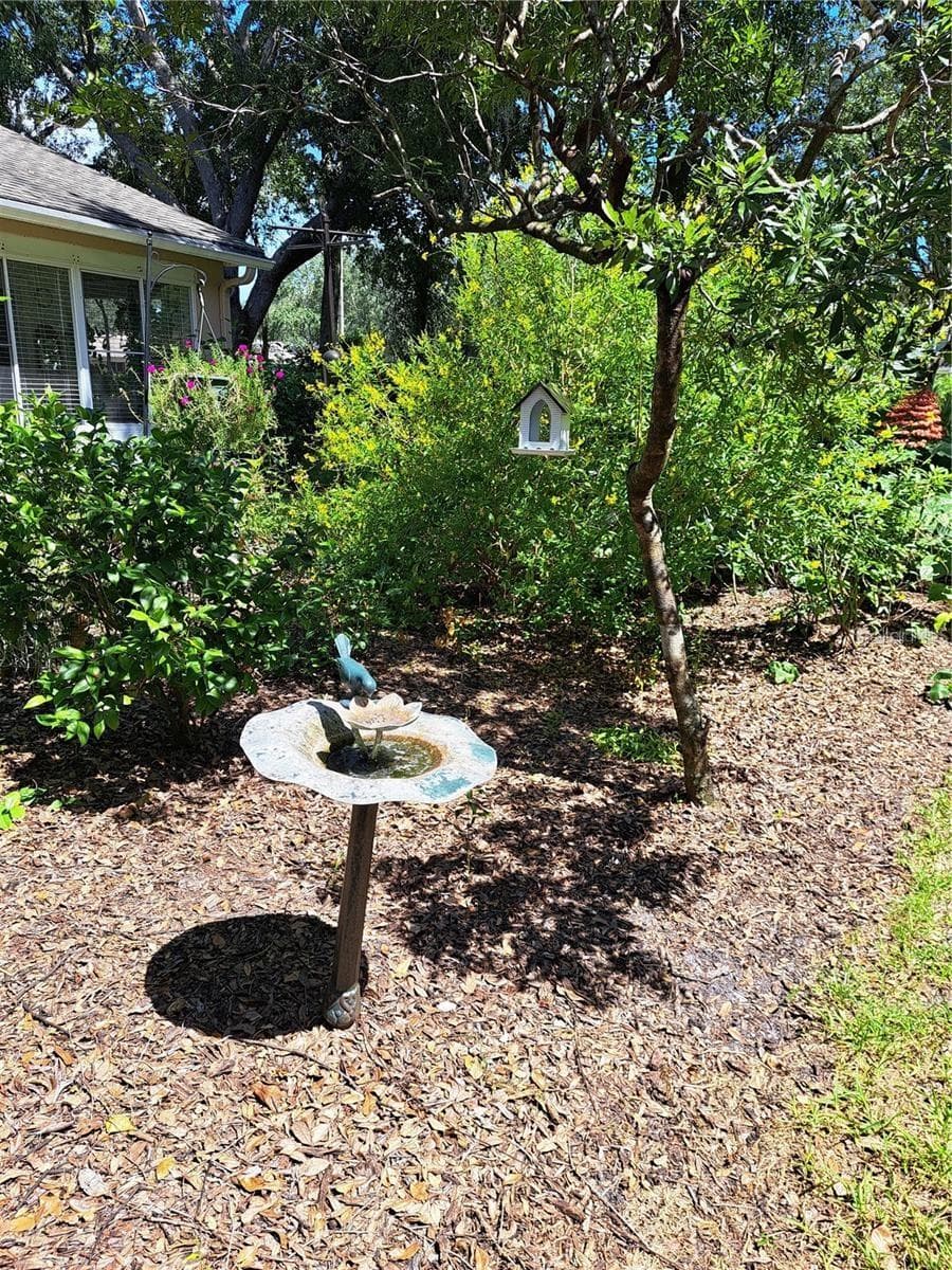 Garden close to back porch - 5316 LOCHMEAD TER, ZEPHYRHILLS