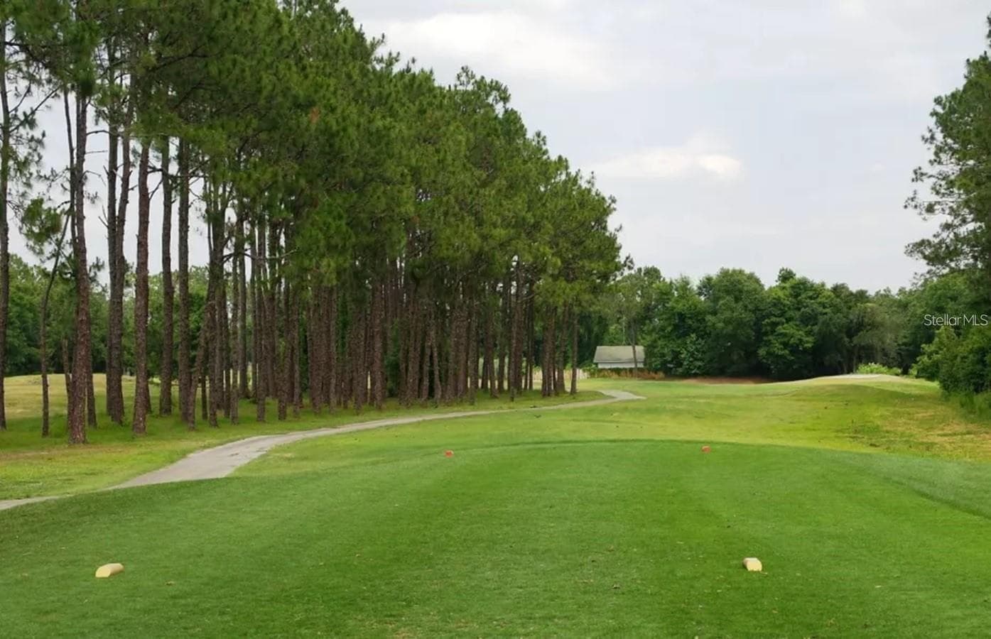 Golfing open to public - 5316 LOCHMEAD TER, ZEPHYRHILLS