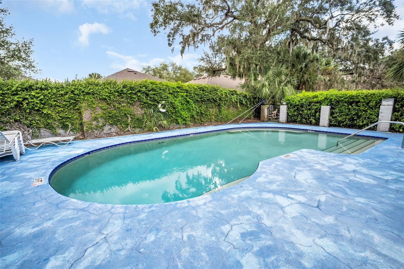 Community Pool - 9723 TIFFANY OAKS LN #3B, TAMPA