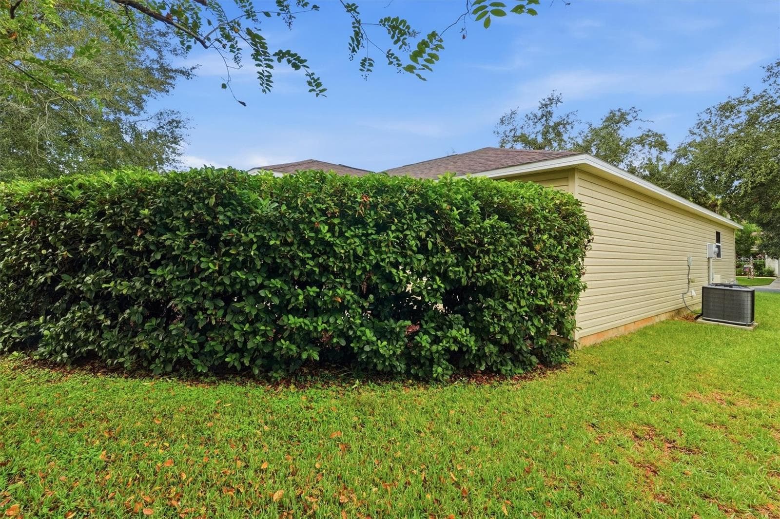Privacy - 3565 IDLEWOOD LOOP, THE VILLAGES