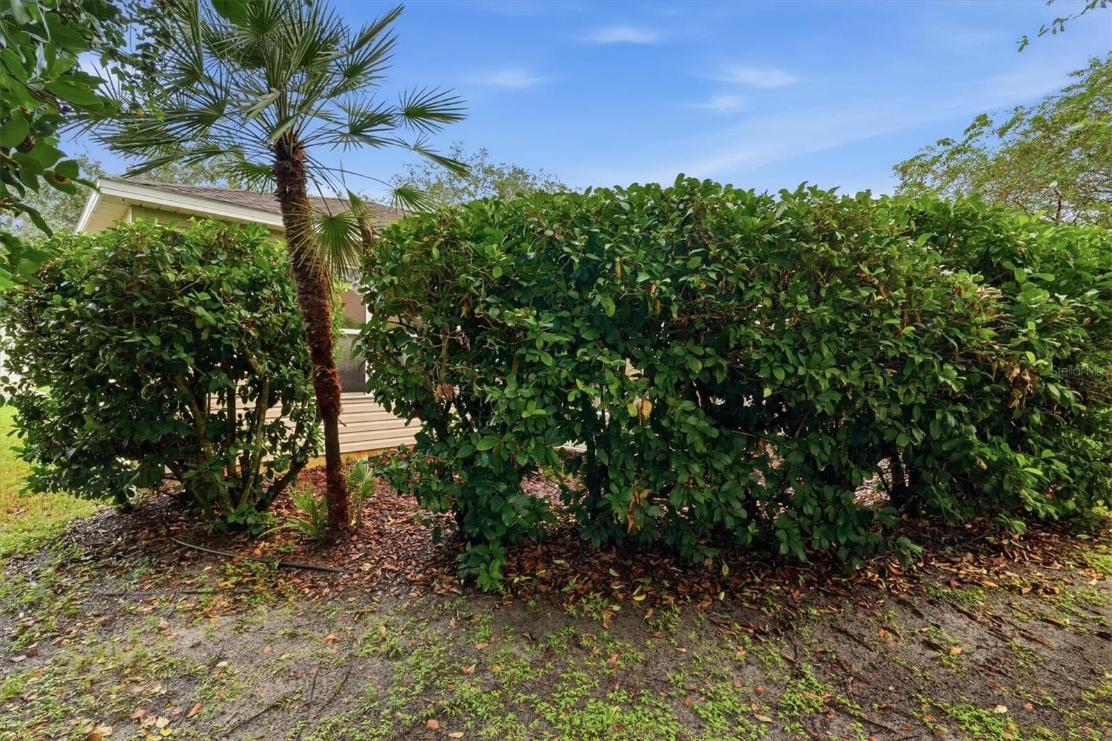 Privacy - 3565 IDLEWOOD LOOP, THE VILLAGES