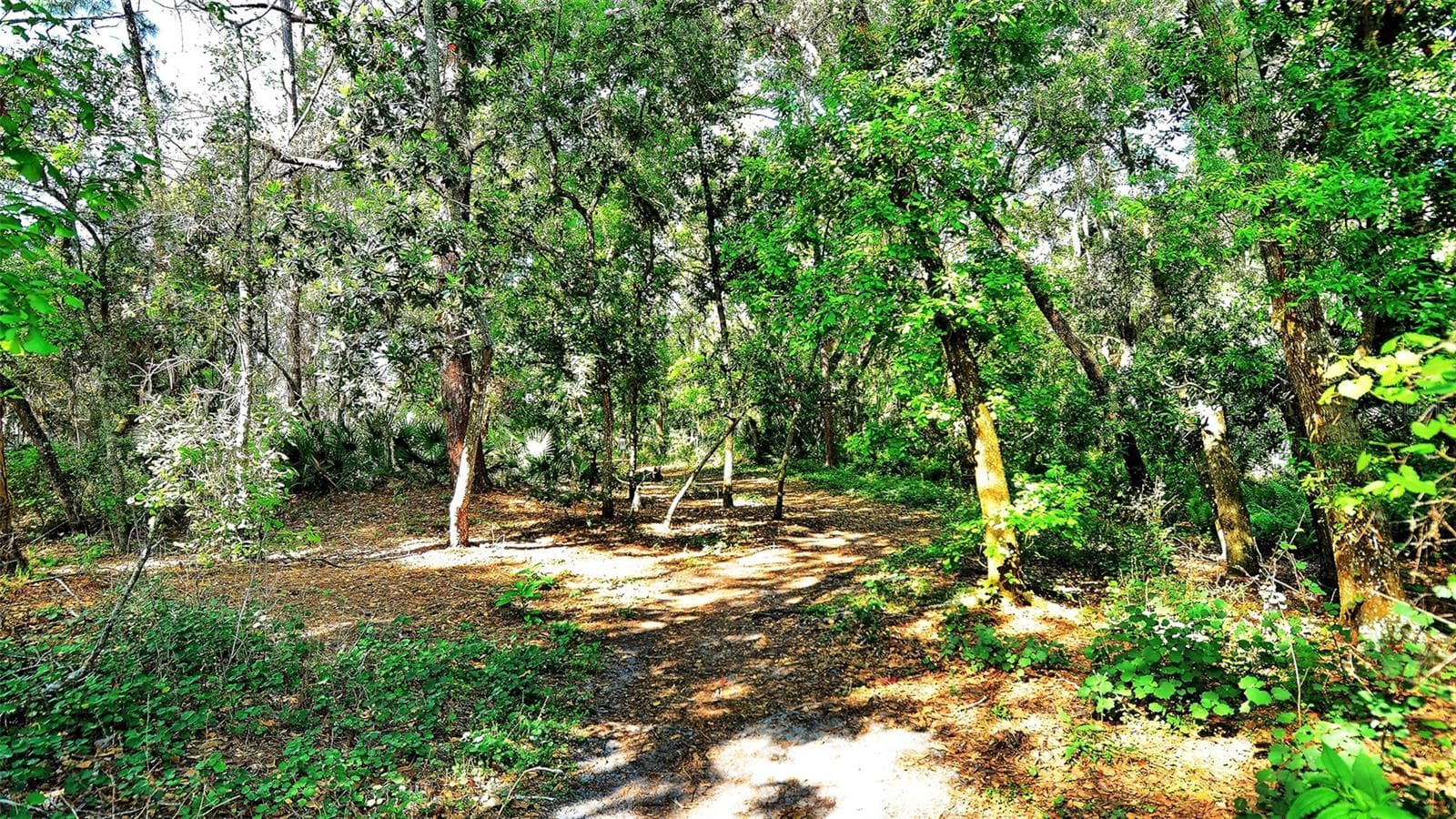Condominium at 3262 CROSS CREEK DR #3262, SARASOTA, photo 59 of 59