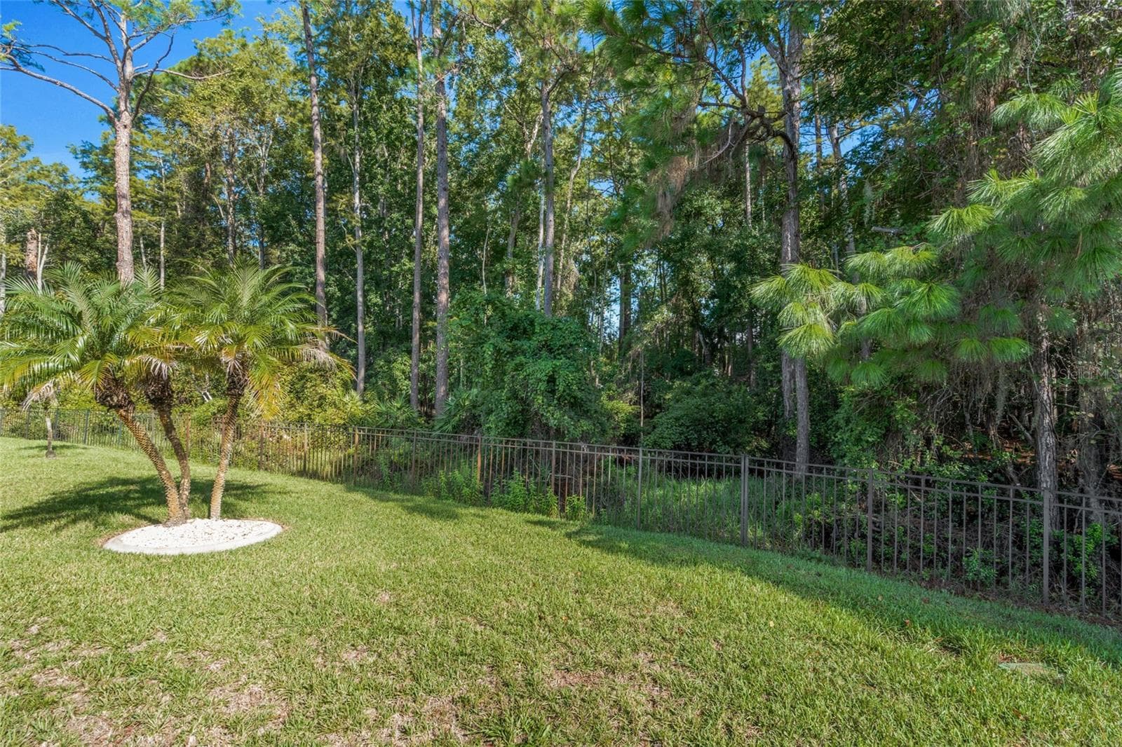 Single Family Residence at 11501 BLOOMINGTON CT, NEW PORT RICHEY, photo 34 of 53
