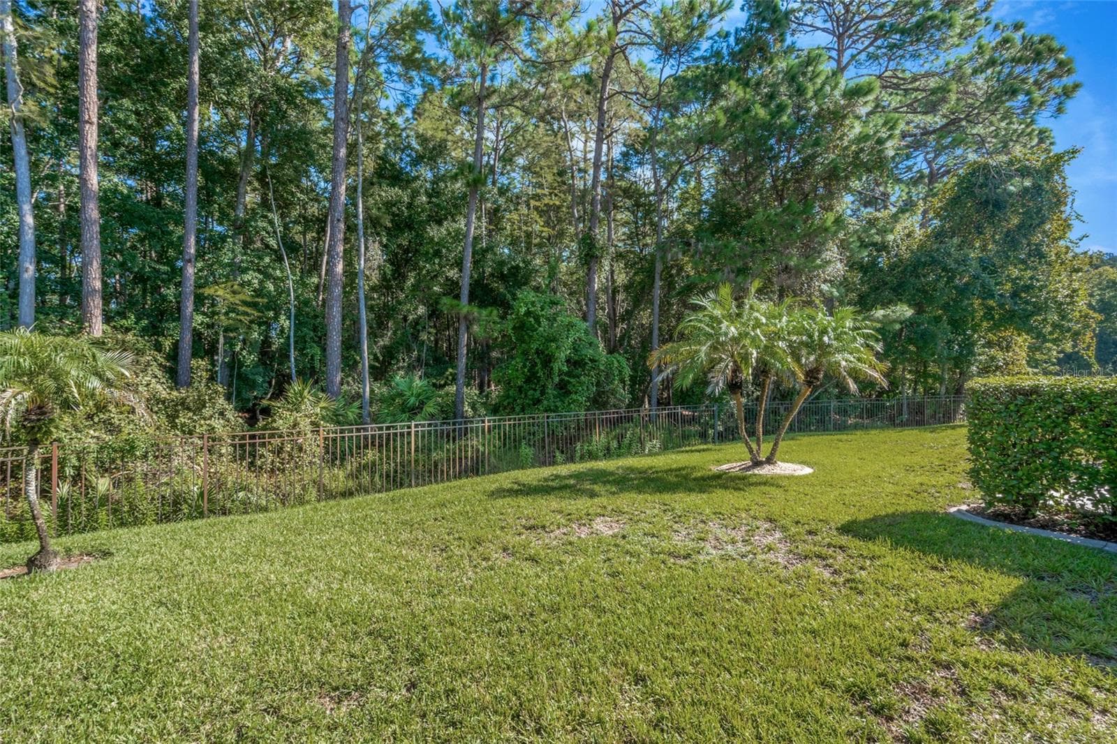 Single Family Residence at 11501 BLOOMINGTON CT, NEW PORT RICHEY, photo 35 of 53