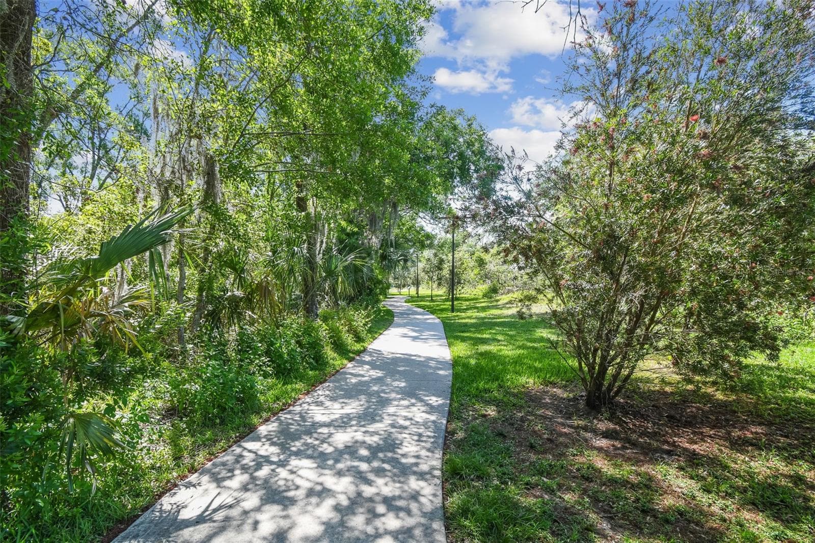Single Family Residence at 5005 PALOMA DR, TAMPA, photo 88 of 89