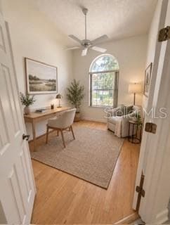 Bedroom 1 - 9084 BLAINE RD, SPRING HILL