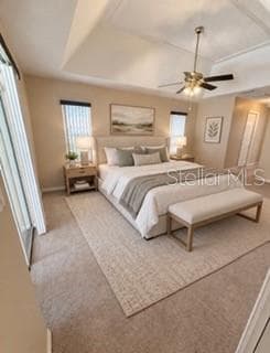 Primary bedroom - 9084 BLAINE RD, SPRING HILL