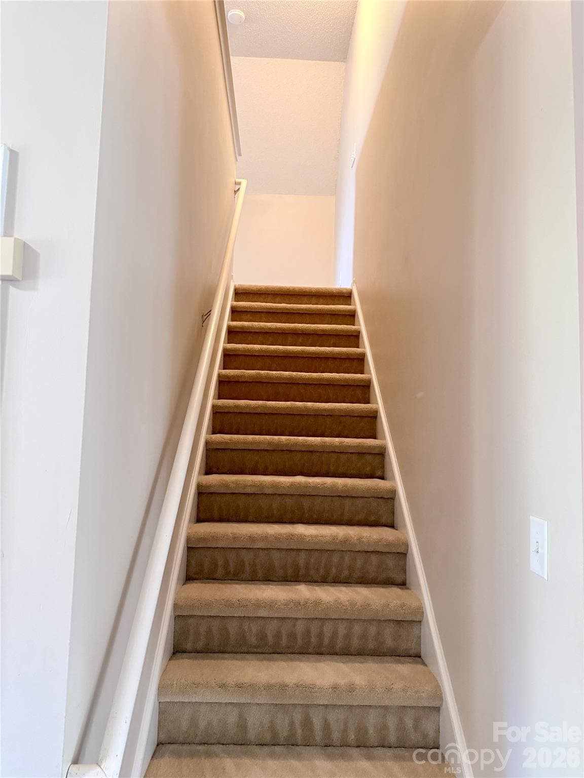 Single Family Residence at 10323 Green Hedge Avenue, Charlotte, photo 25 of 35