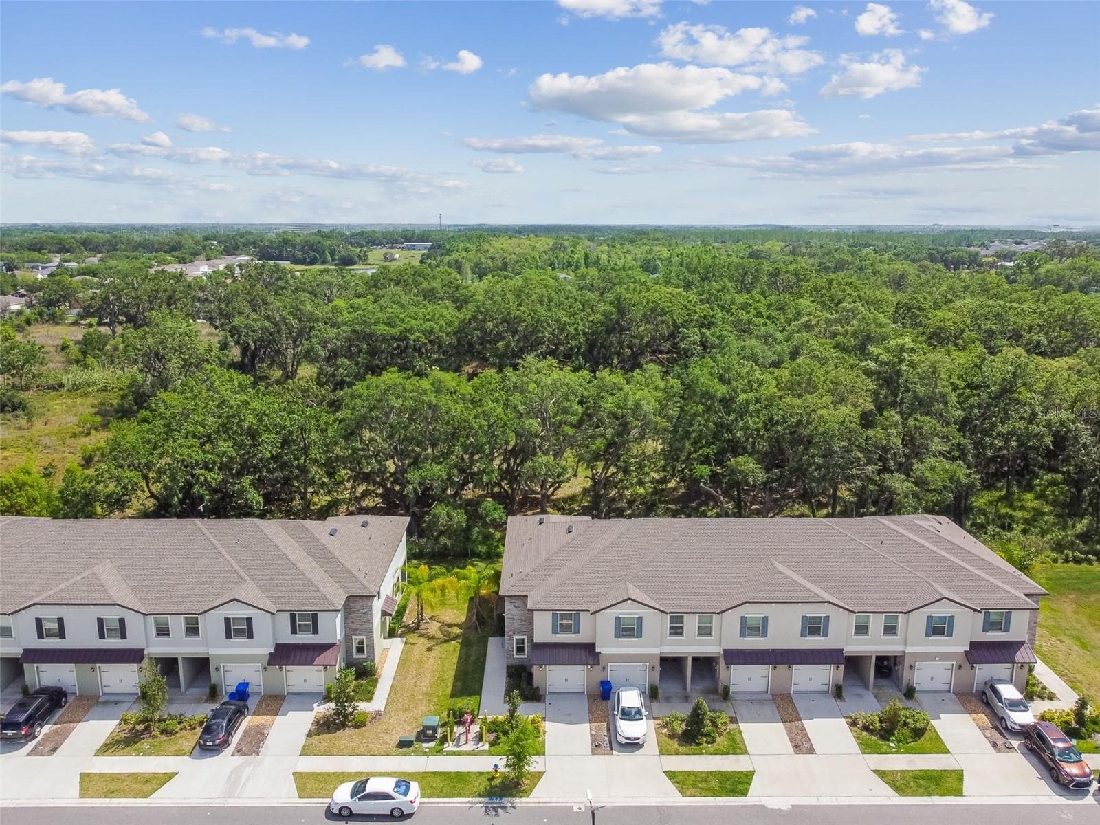 Townhouse at 30814 VERIDIAN WAY, WESLEY CHAPEL, photo 90 of 98