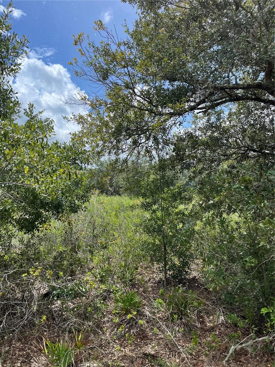 Land at 15030 NW 306TH ST, OKEECHOBEE, photo 2 of 6