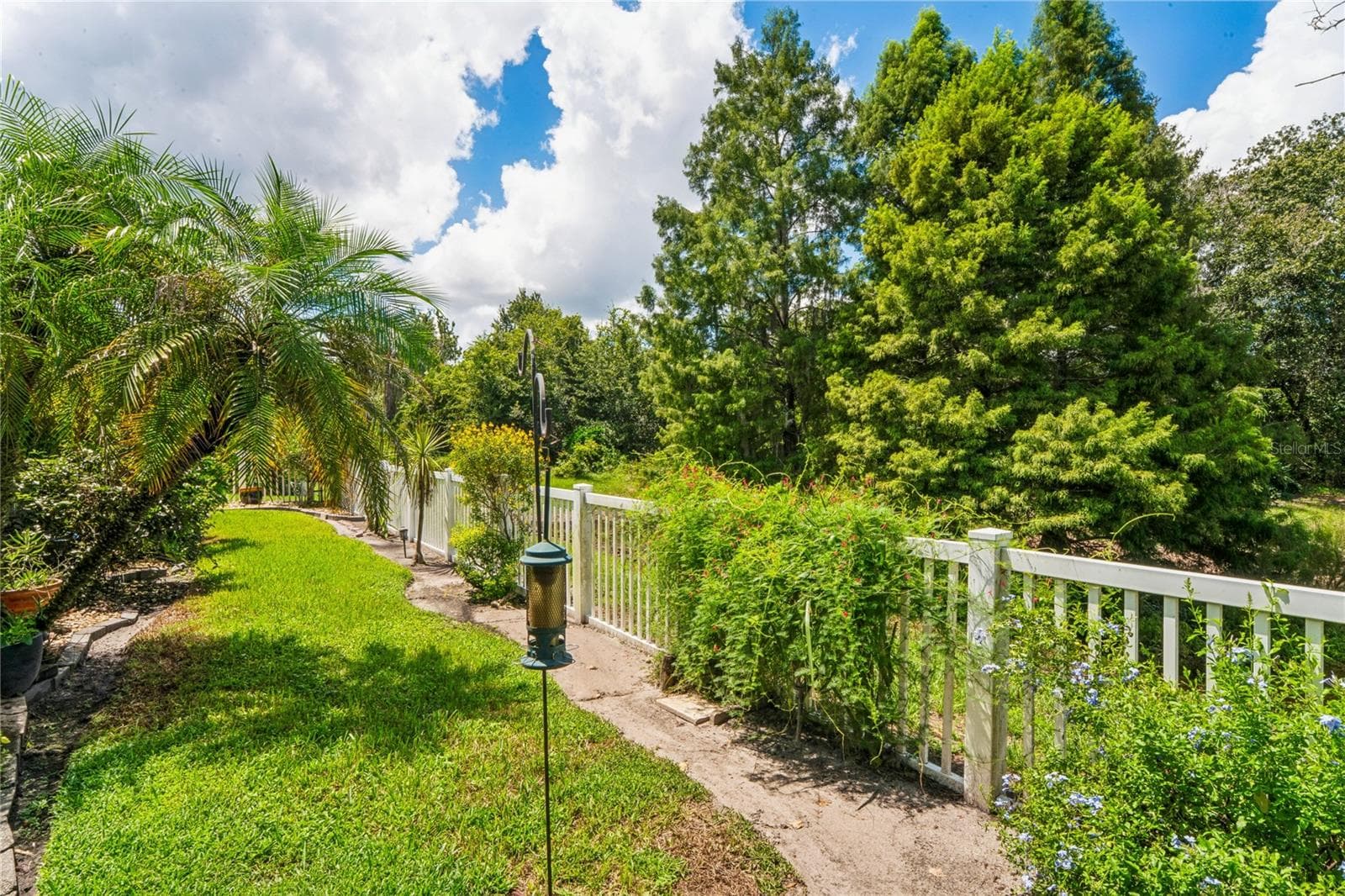 Fenced backyard - 23218 CYPRESS TRAIL DR, LUTZ