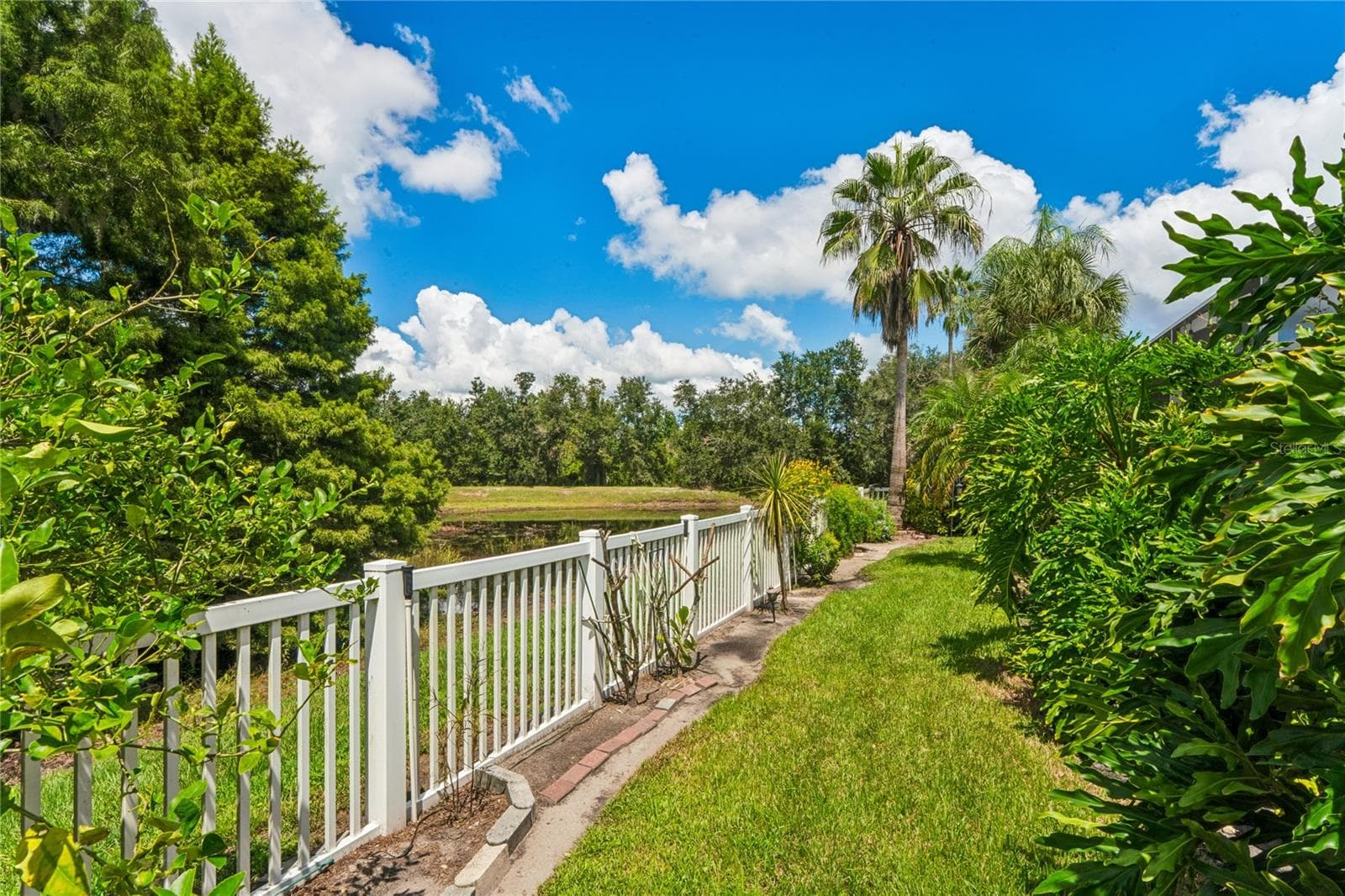 Fenced backyard - 23218 CYPRESS TRAIL DR, LUTZ