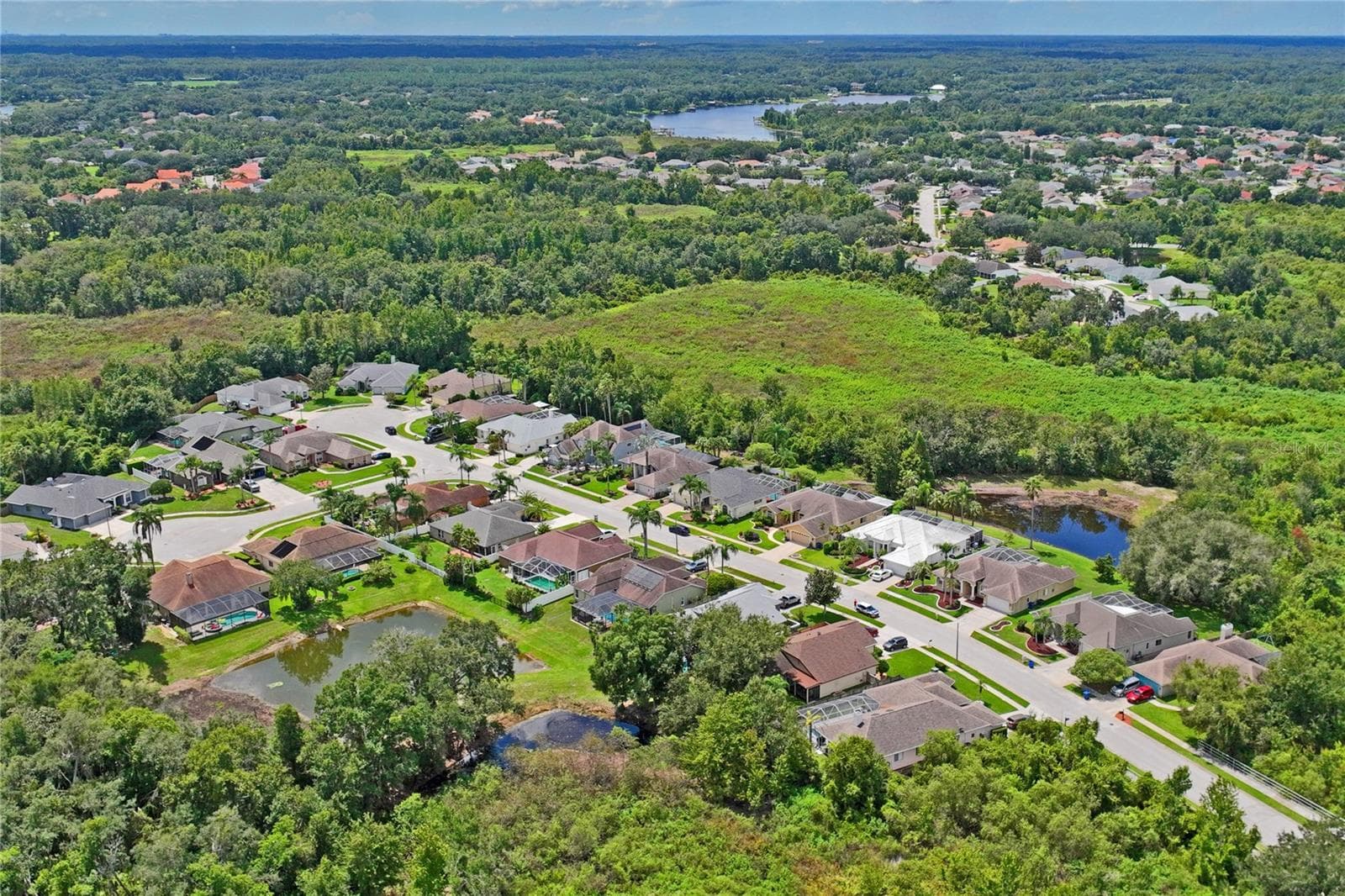 Single Family Residence at 23218 CYPRESS TRAIL DR, LUTZ, photo 72 of 78