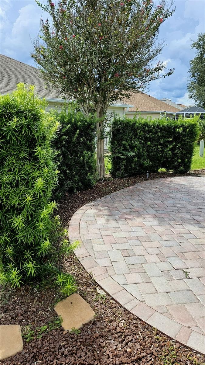 Rear Paver Patio withprivacy hedges - 730 SAN MARINO DR, THE VILLAGES