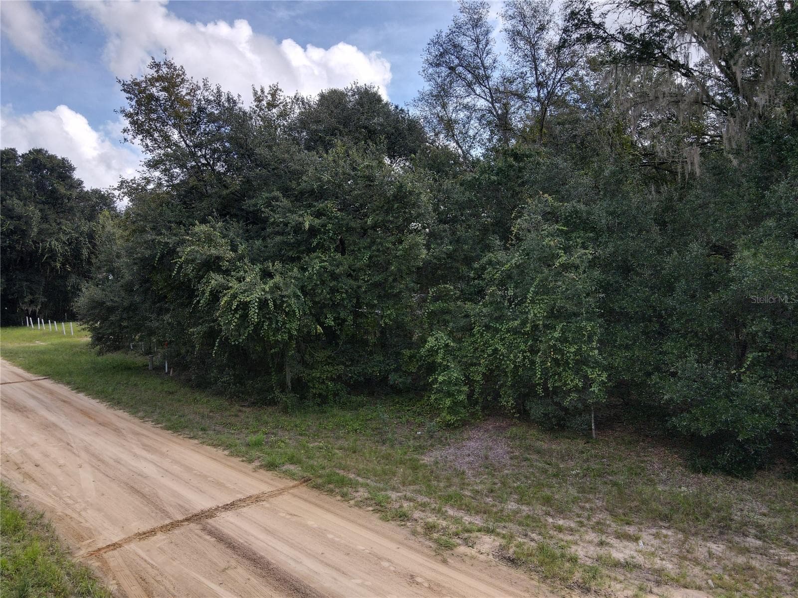 Land at GUNNER AVE AVE, INTERLACHEN, photo 44 of 48