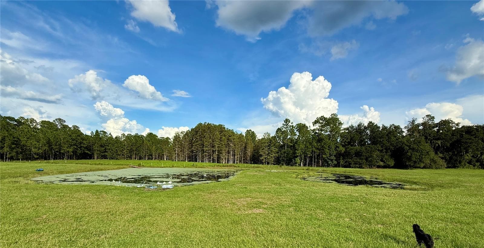 Pond - 14875 CR 751, WEBSTER
