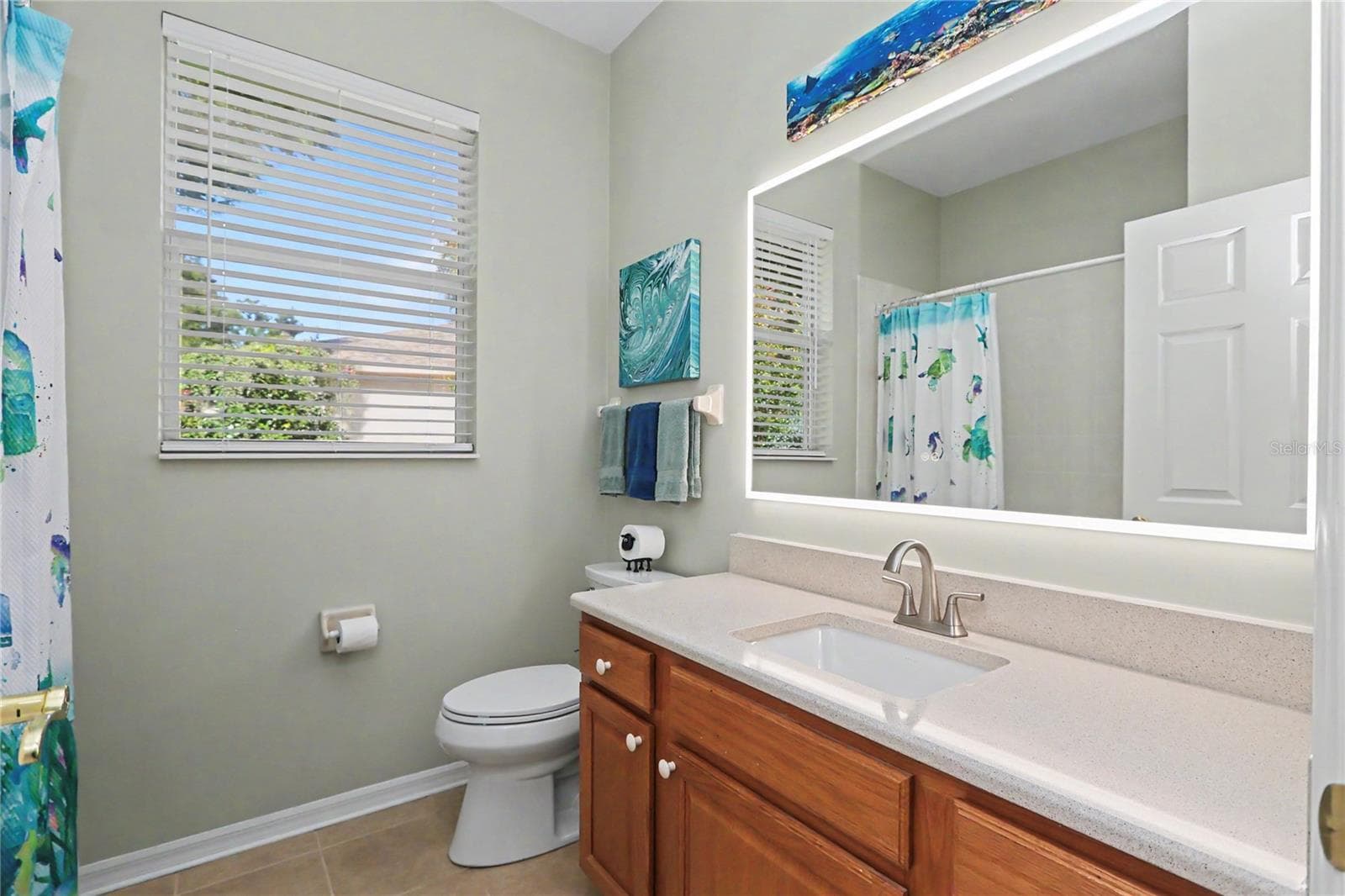 Hall Bath - 19242 SW 101ST ST, DUNNELLON