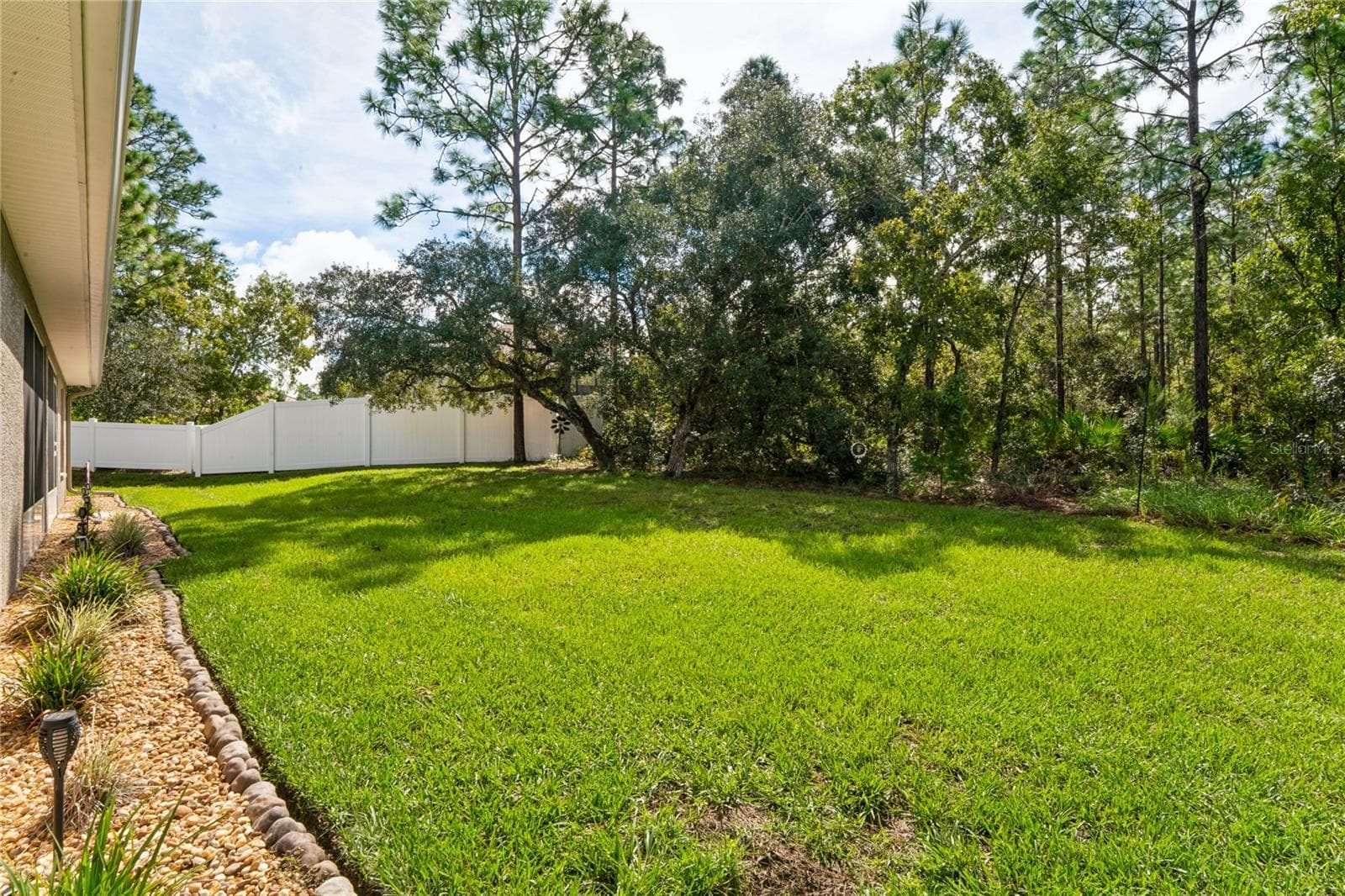 Back yard - 145 LINDER DR, HOMOSASSA