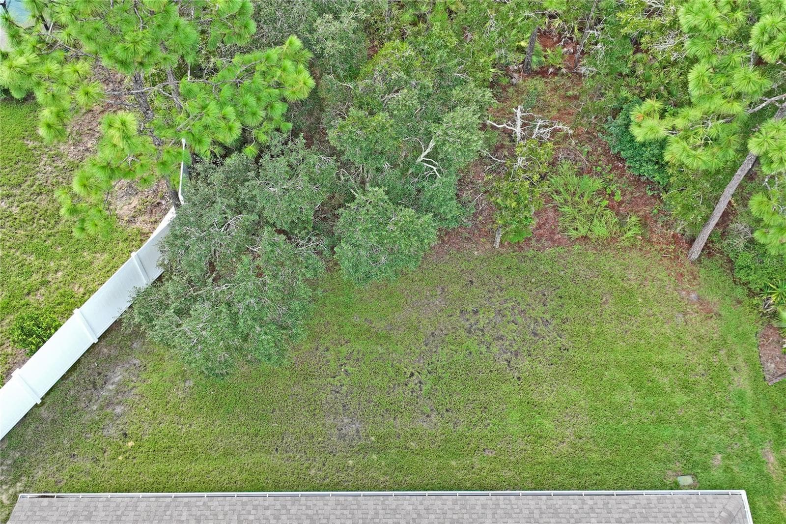 back yard showing green belt behind - 145 LINDER DR, HOMOSASSA
