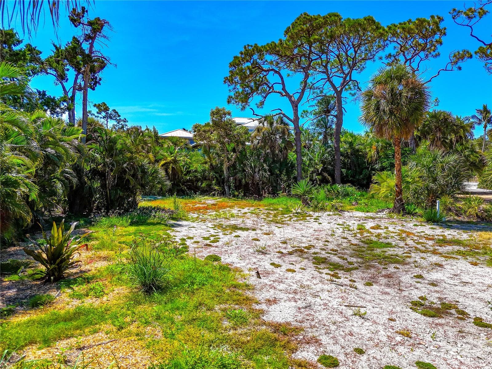 Land at 7233 PINE NEEDLE RD, SARASOTA, photo 10 of 23