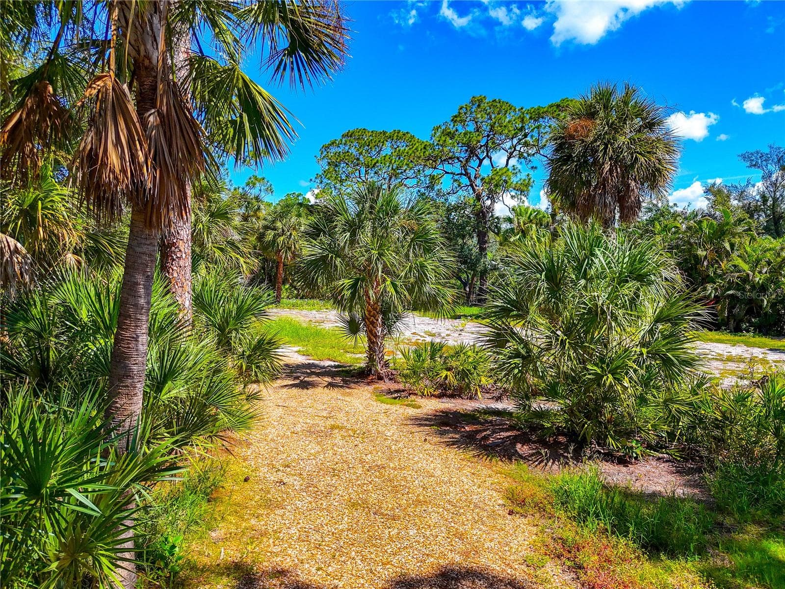 Land at 7233 PINE NEEDLE RD, SARASOTA, photo 11 of 23