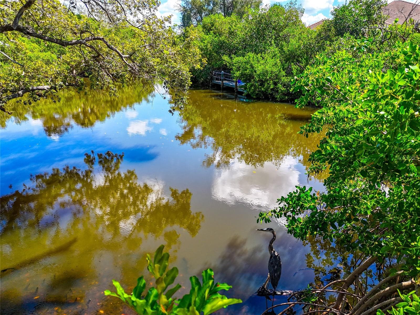 Land at 7233 PINE NEEDLE RD, SARASOTA, photo 14 of 23