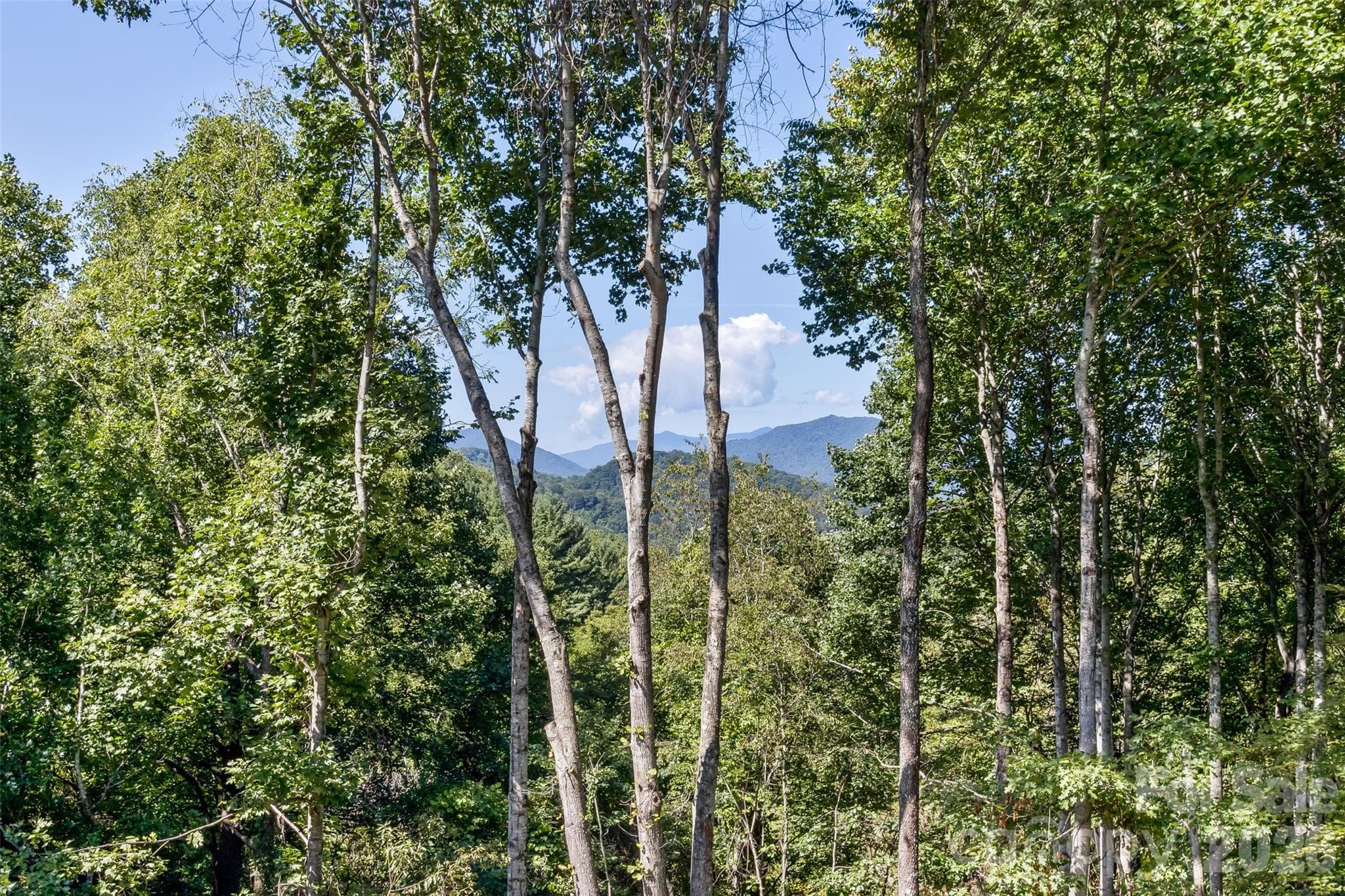 View from Deck - 340 Matthew Lane, Canton