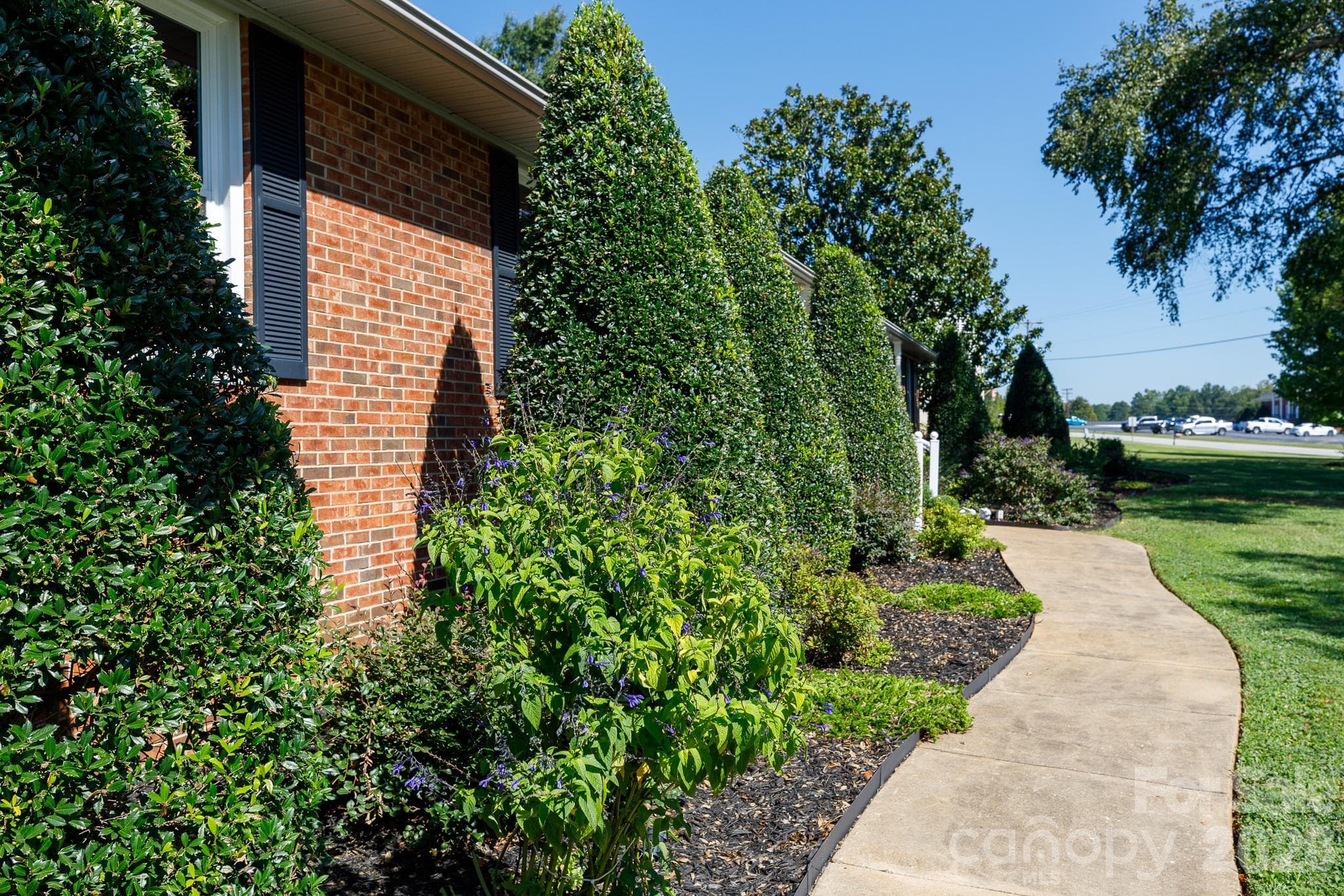 Holly Trees Beautiful Lite for Holidays - 411 Cherokee National Highway, Gaffney