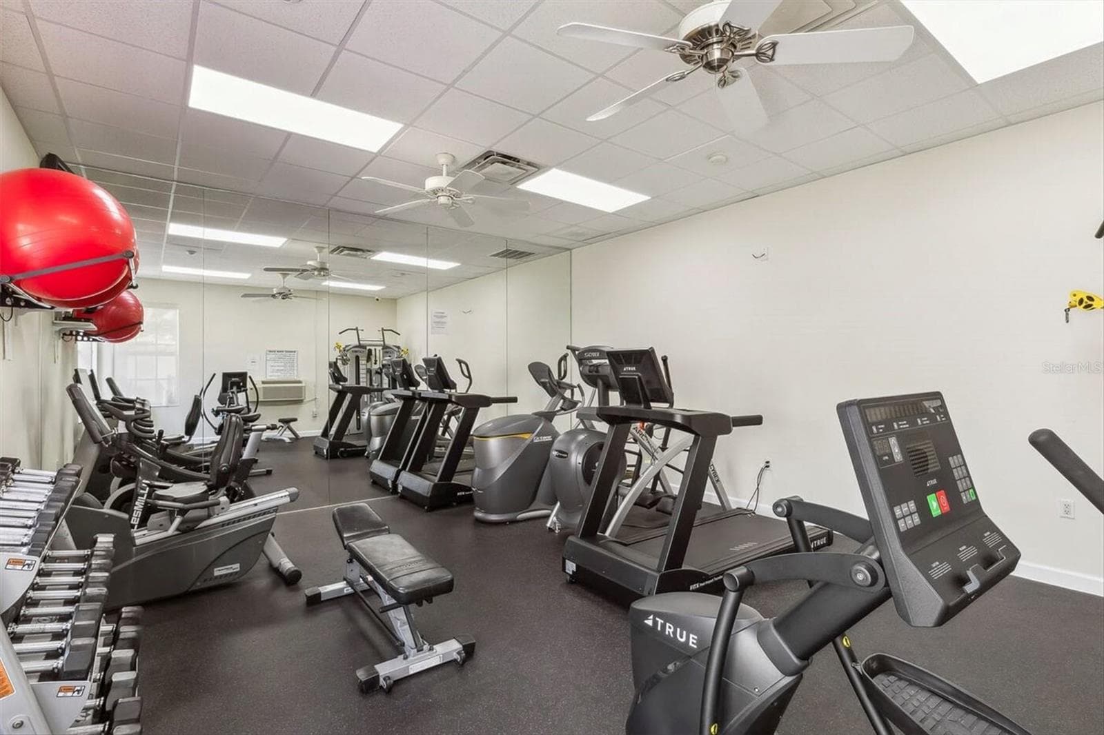 Fitness center offers free weights & equipment - 10301 CORAL LANDINGS LN #5, PLACIDA