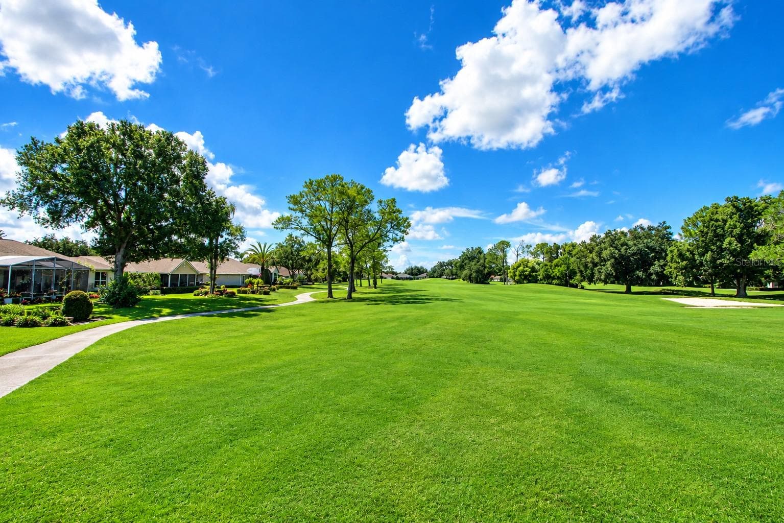 Single Family Residence at 9036 LAUREL RIDGE DR, MOUNT DORA, photo 41 of 45