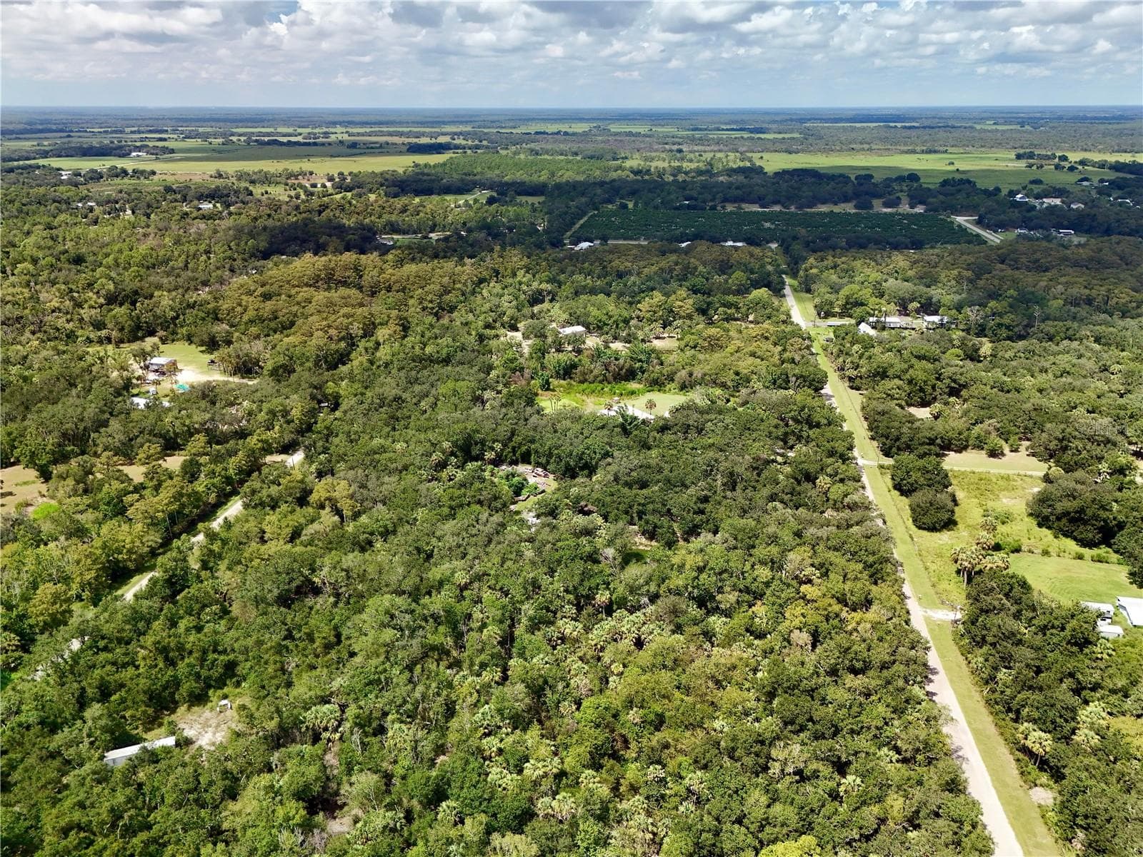 Land at 8671 SW OPOSSUM TRL, ARCADIA, photo 13 of 19