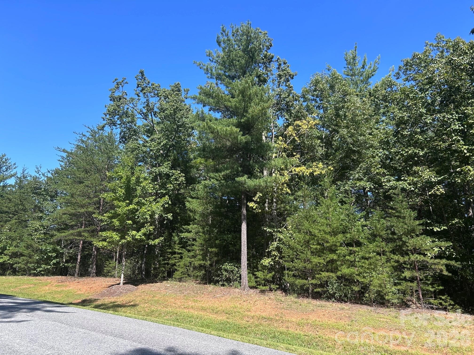 256 Beacon Ridge Drive