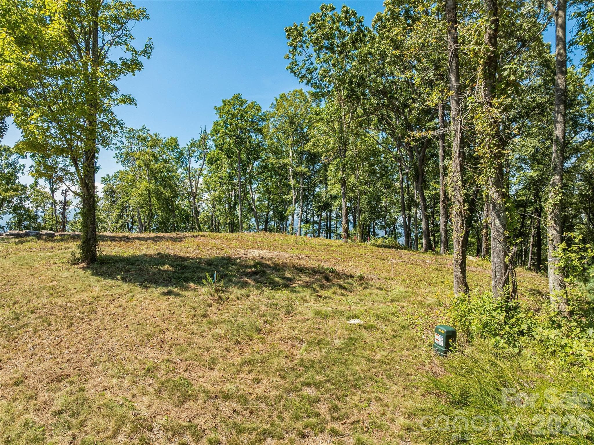 Lot at Lot 42 Haven View Trail, Fletcher, photo 2 of 14
