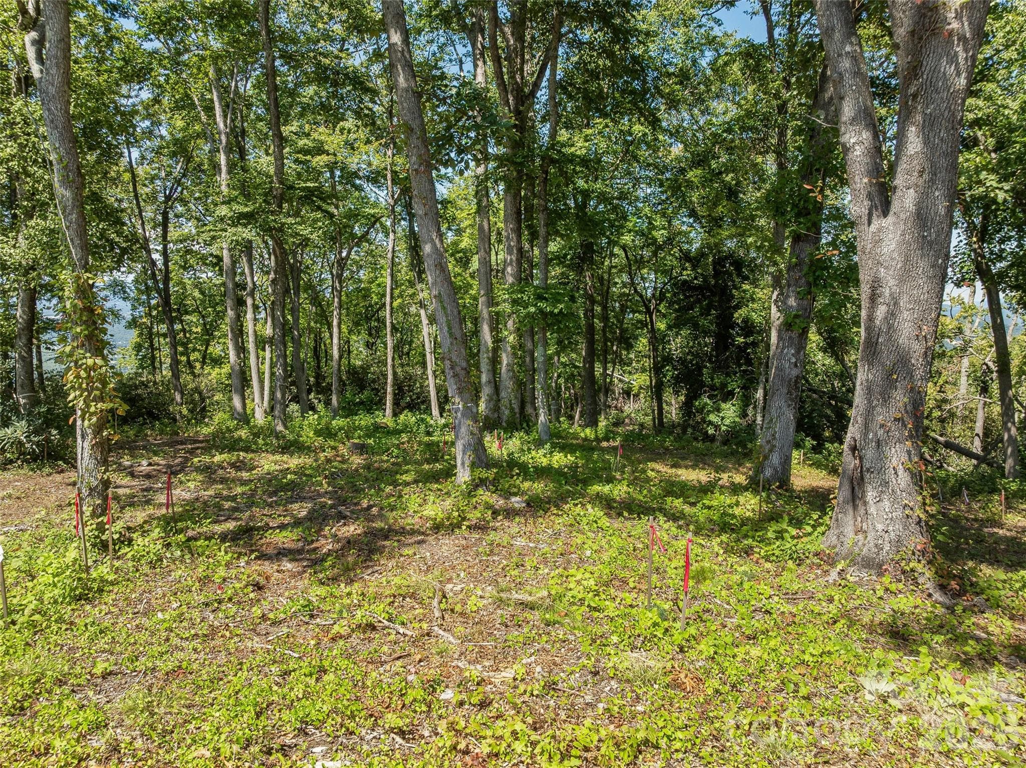 Lot at Lot 42 Haven View Trail, Fletcher, photo 9 of 14