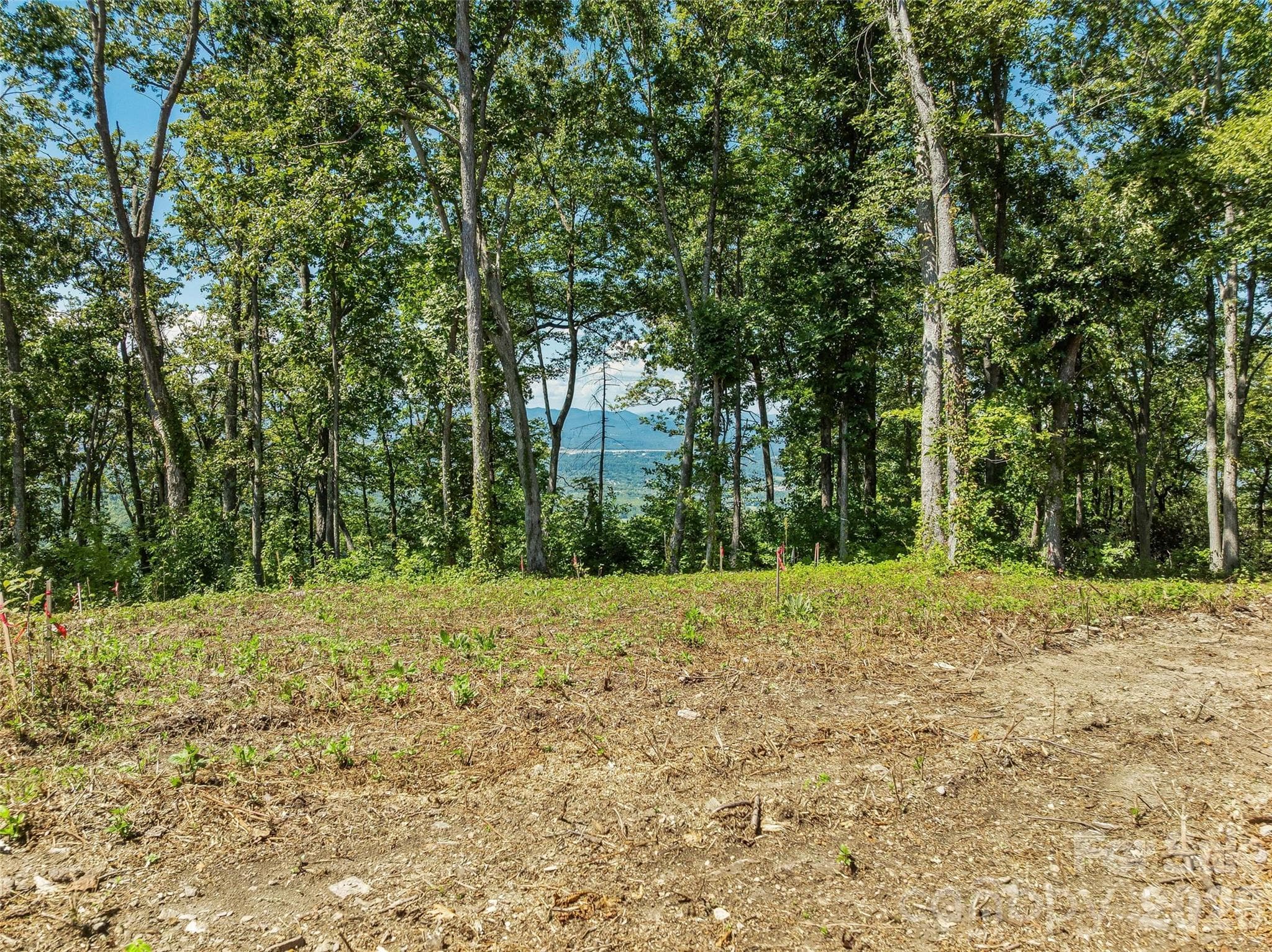 Lot at Lot 42 Haven View Trail, Fletcher, photo 11 of 14