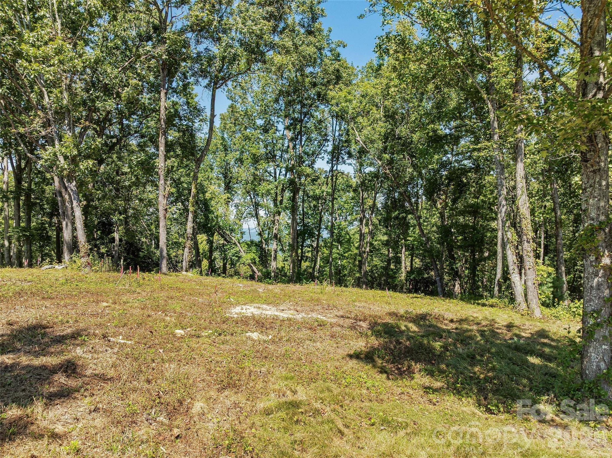 Lot at Lot 42 Haven View Trail, Fletcher, photo 12 of 14