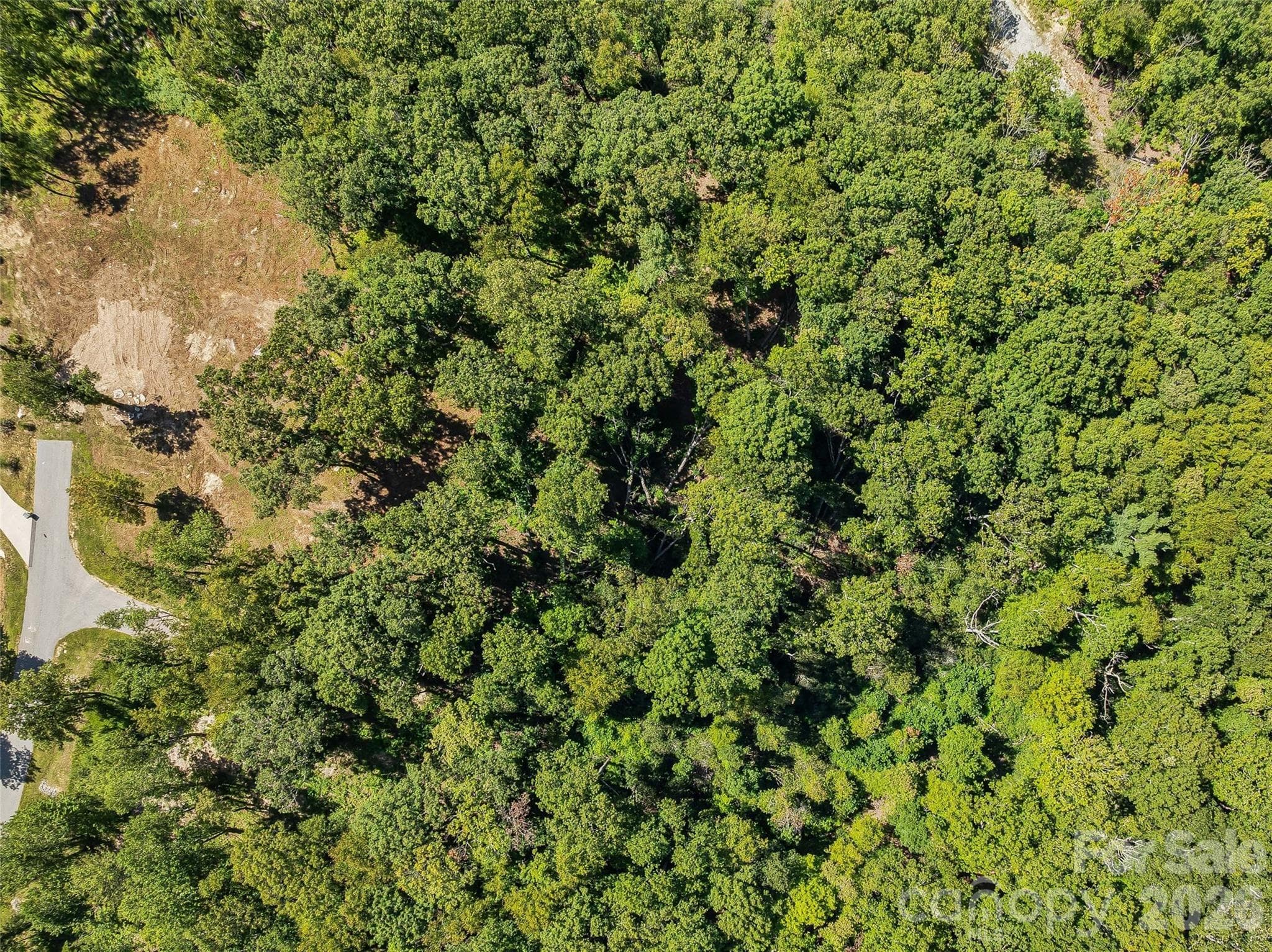 Lot at Lot 42 Haven View Trail, Fletcher, photo 13 of 14