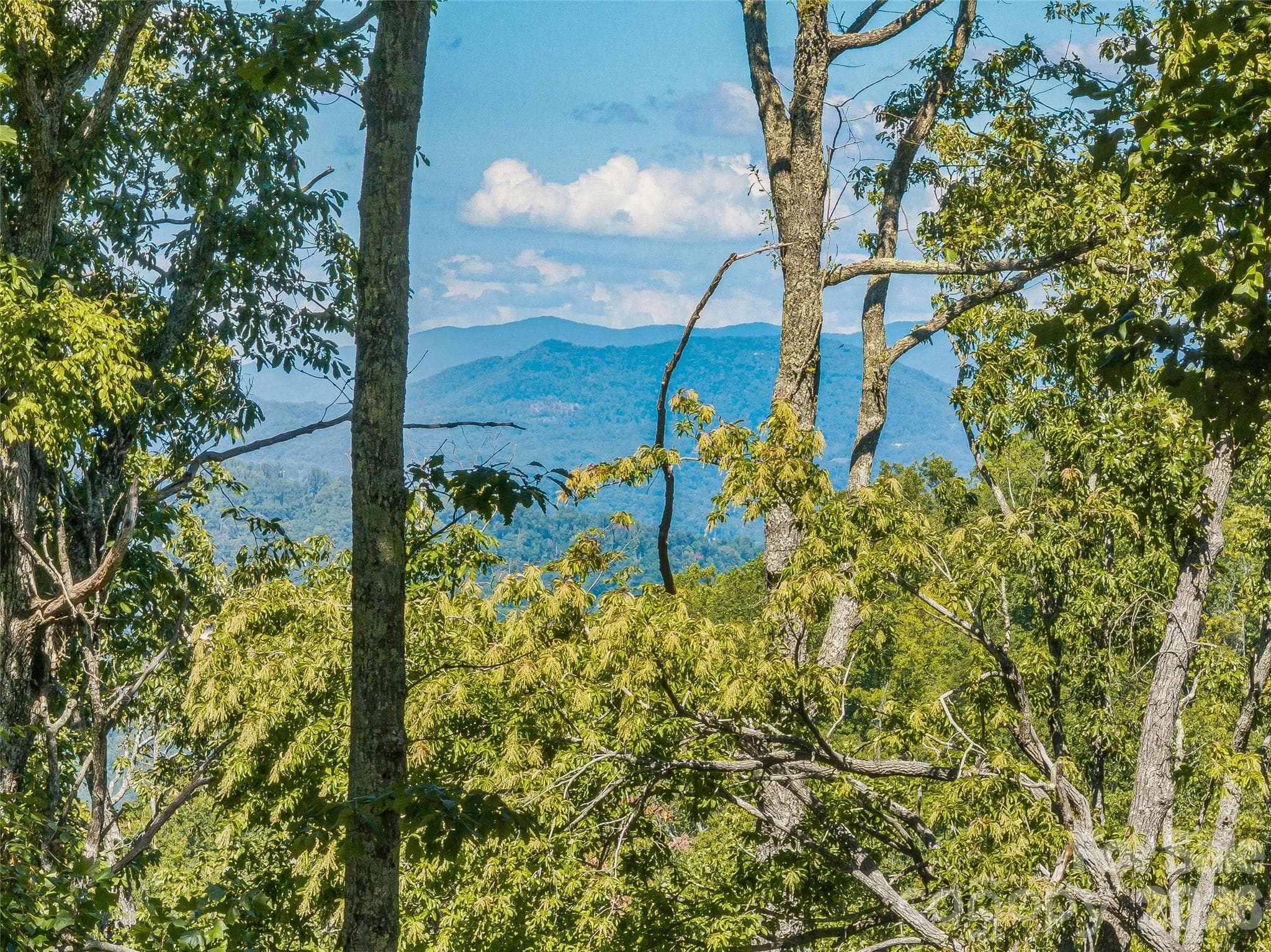 Lot at Lot 43 Haven View Trail, Fletcher, photo 5 of 10
