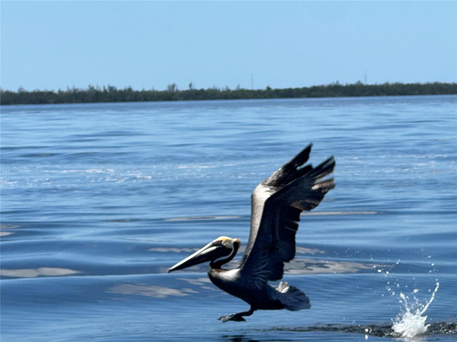Myakka River - 13172 GORMAN AVE, PORT CHARLOTTE
