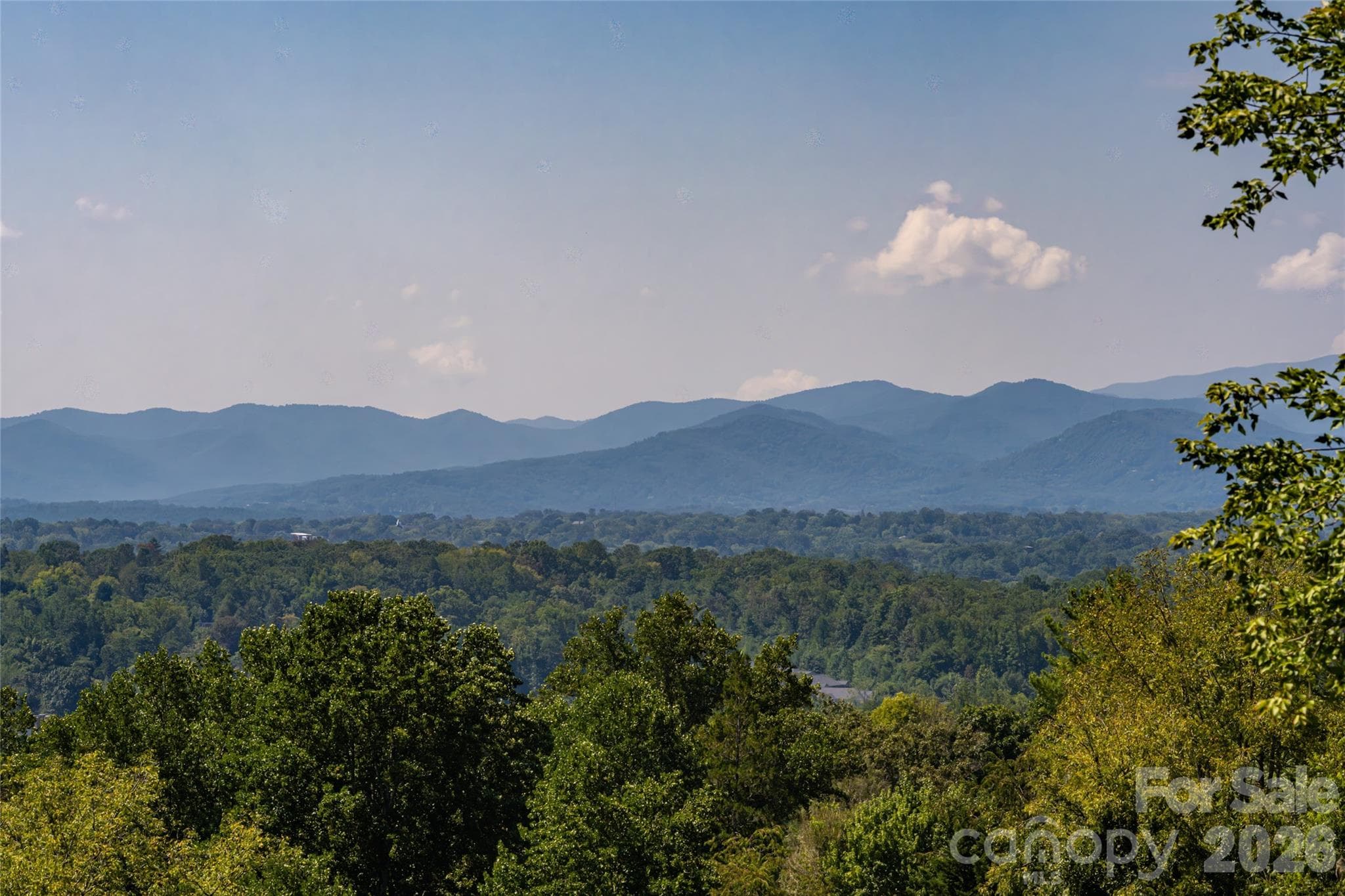 Sweeping views of the Blue Ridge Mountains - 35 Elias Place, Asheville