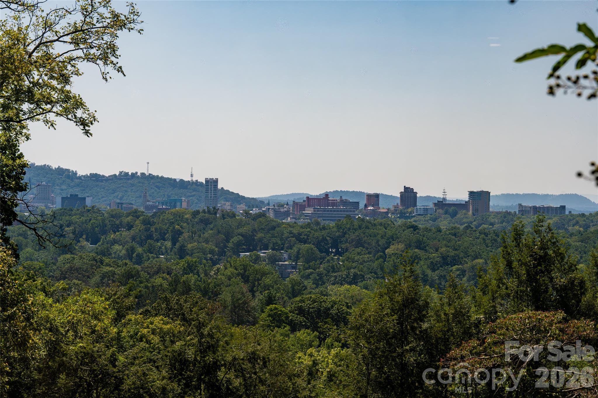 Single Family Residence at 35 Elias Place, Asheville, photo 46 of 48