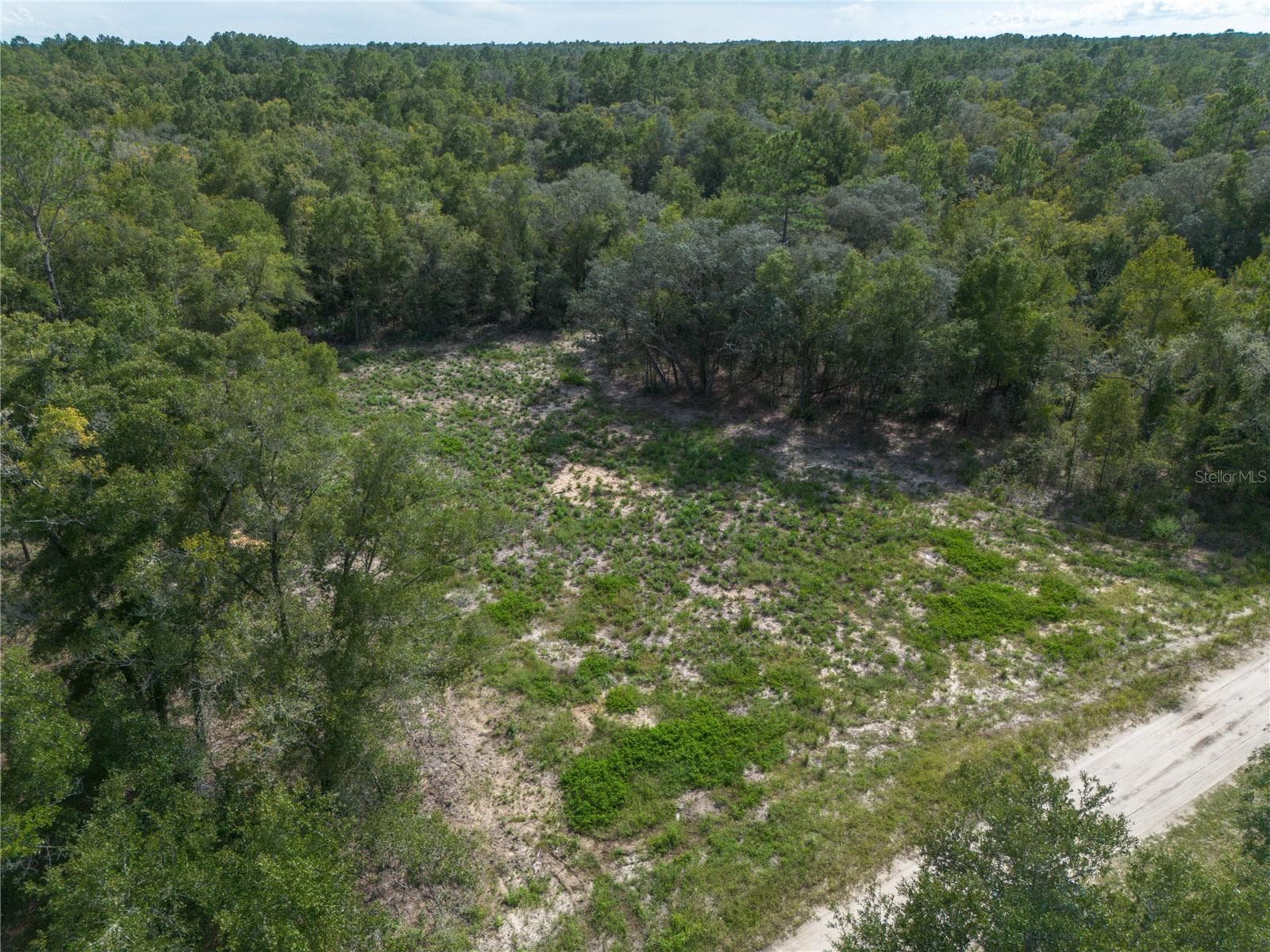 Land at TBD NE 82ND PL, BRONSON, photo 3 of 12