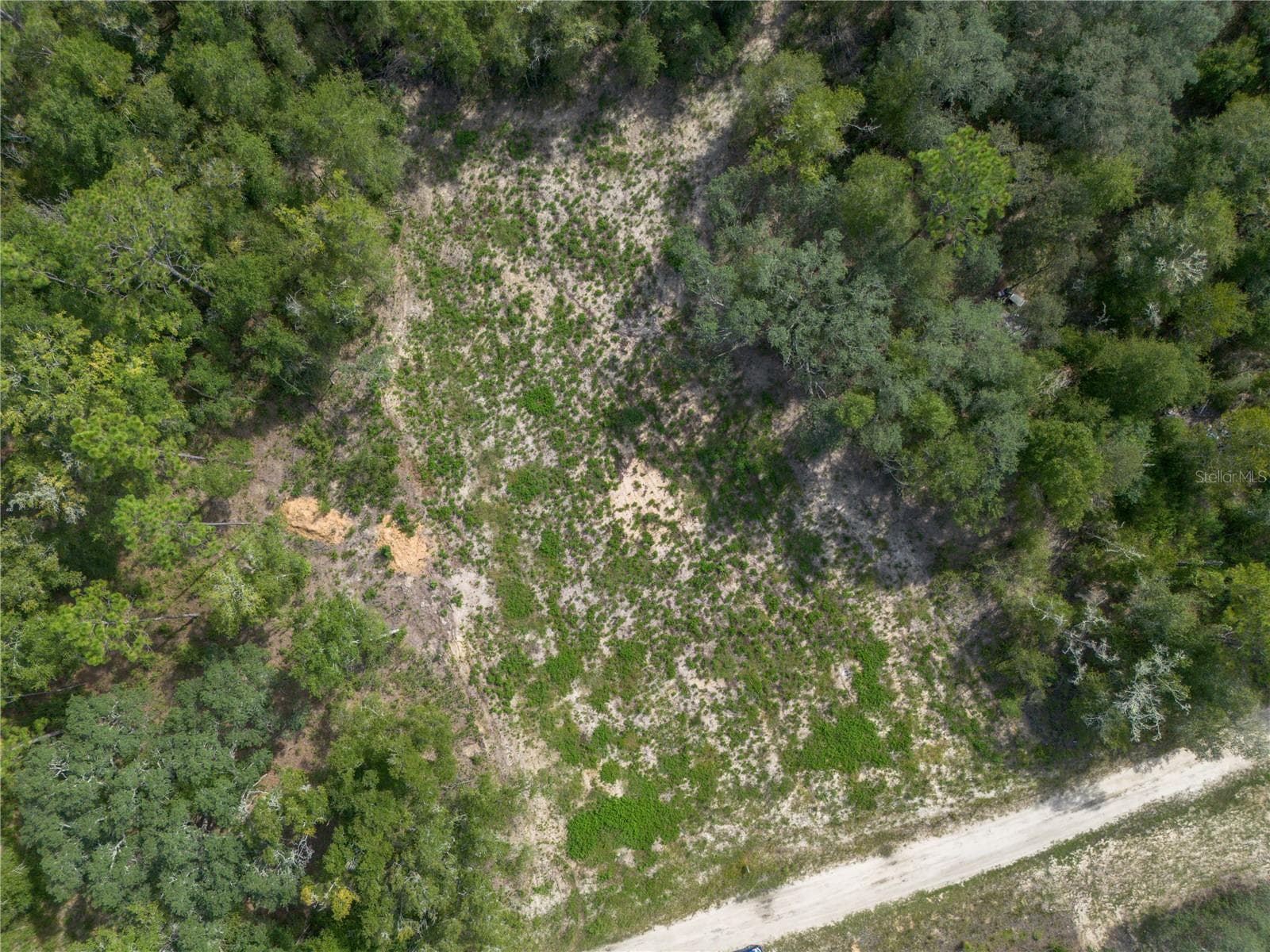 Land at TBD NE 82ND PL, BRONSON, photo 4 of 12