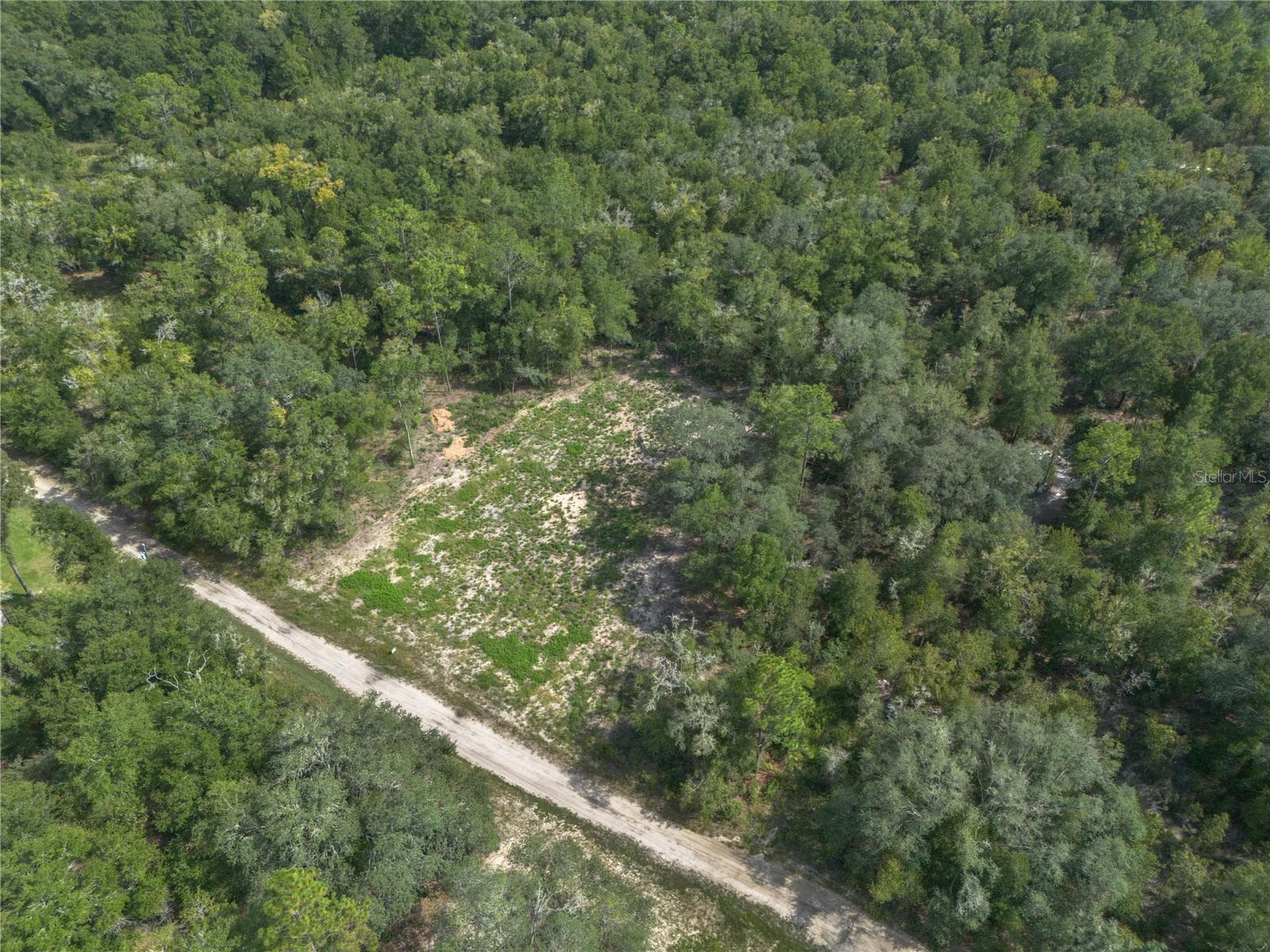 Land at TBD NE 82ND PL, BRONSON, photo 5 of 12