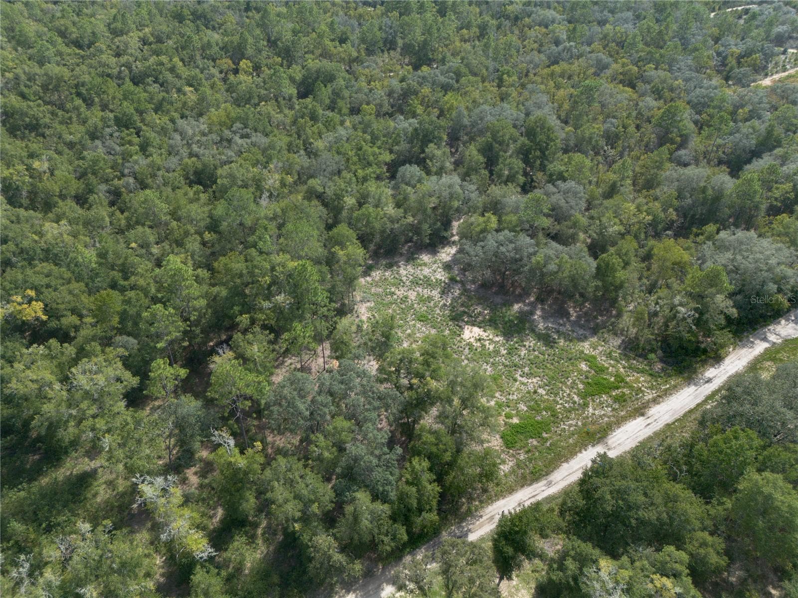 Land at TBD NE 82ND PL, BRONSON, photo 7 of 12