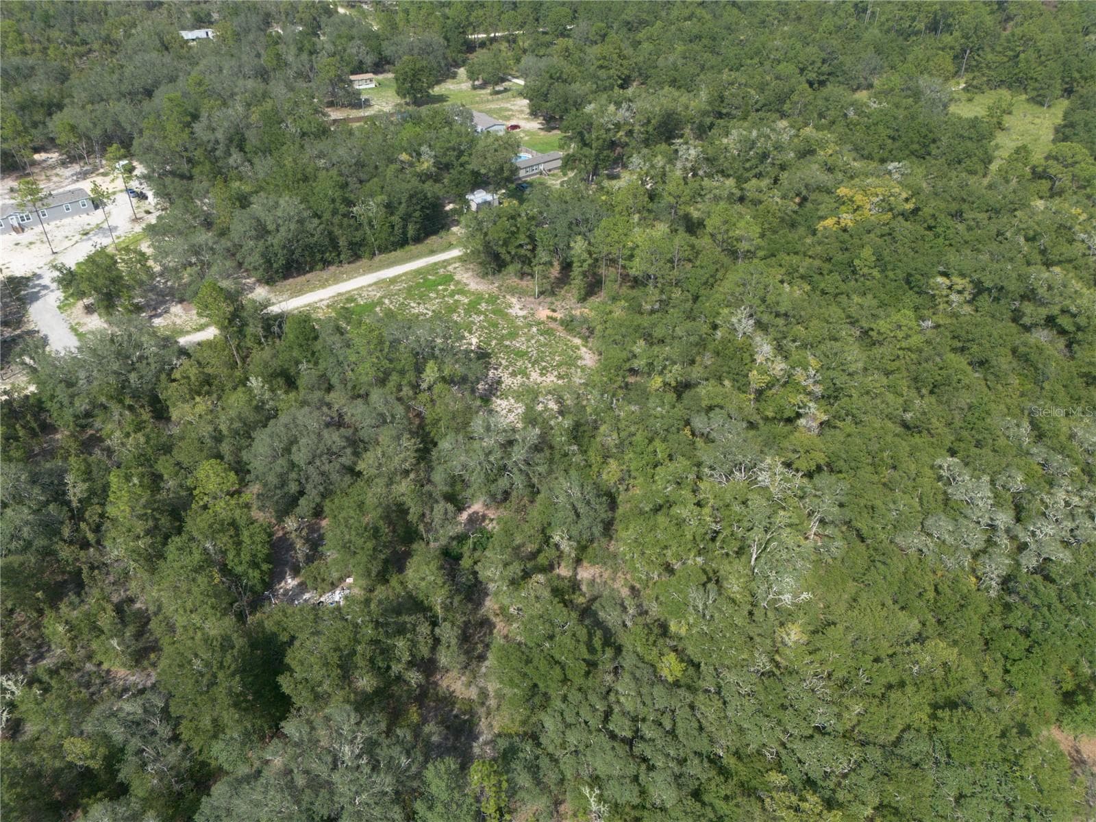 Land at TBD NE 82ND PL, BRONSON, photo 8 of 12
