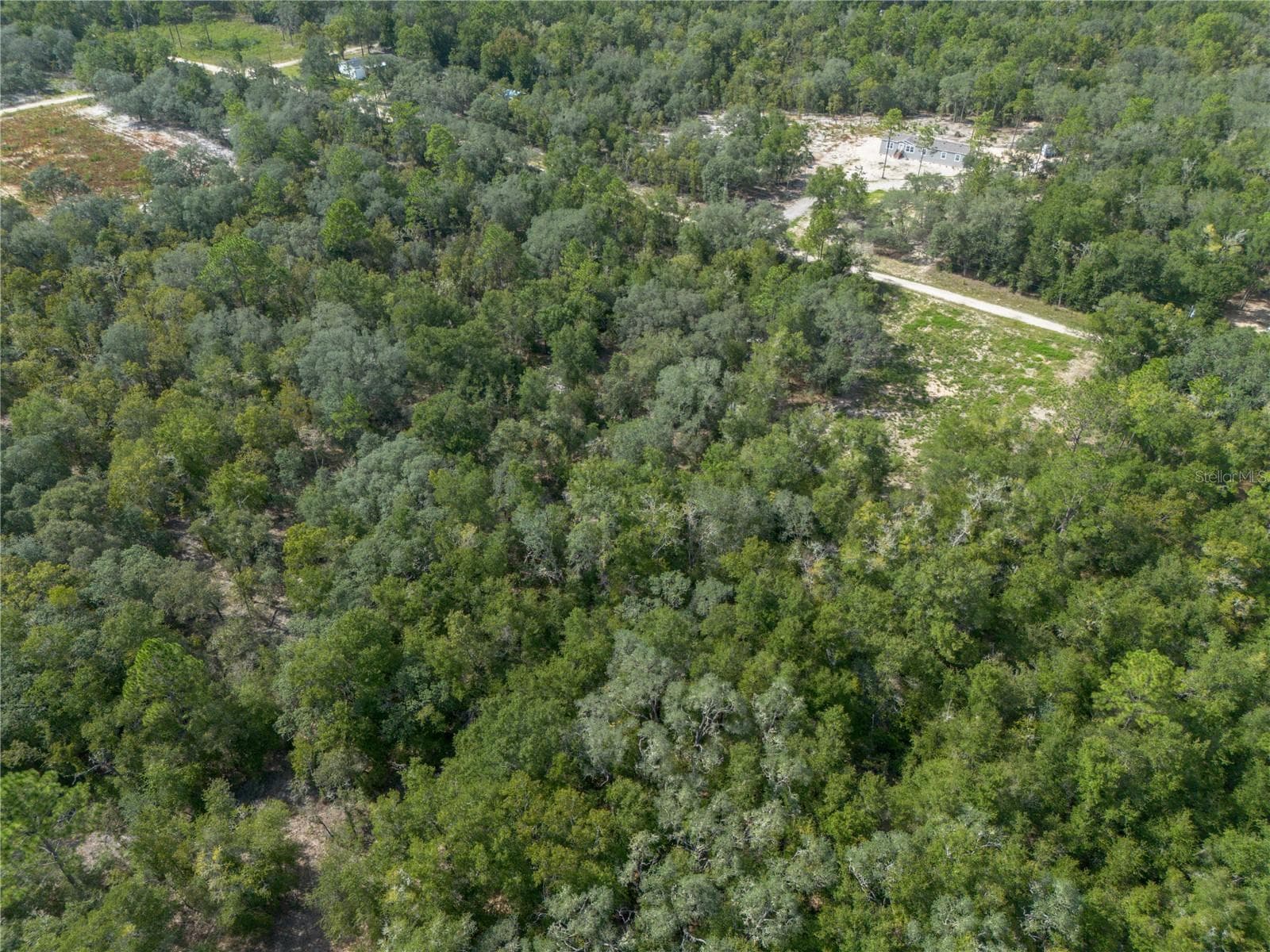 Land at TBD NE 82ND PL, BRONSON, photo 9 of 12