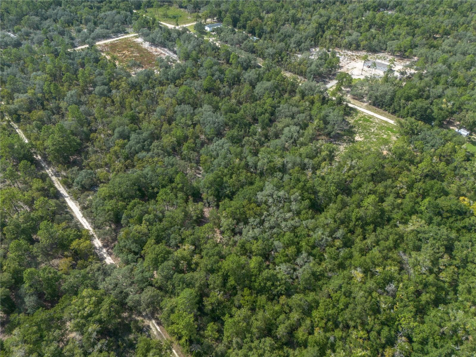Land at TBD NE 82ND PL, BRONSON, photo 10 of 12