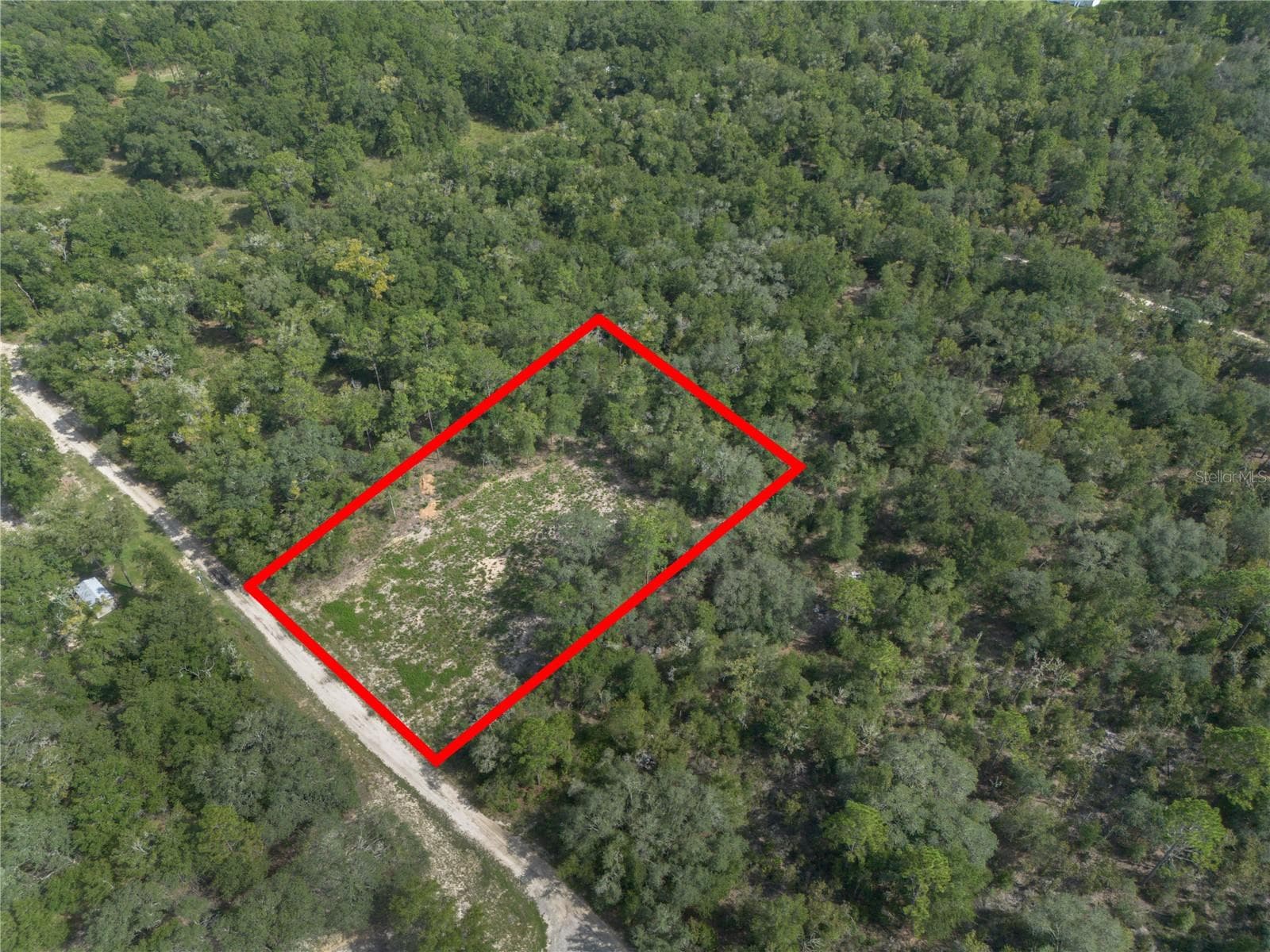 Land at TBD NE 82ND PL, BRONSON, photo 11 of 12