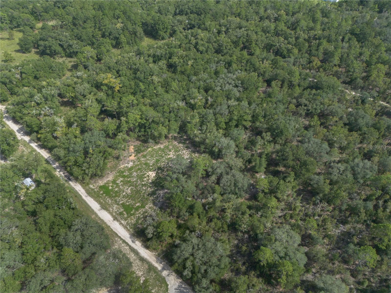Land at TBD NE 82ND PL, BRONSON, photo 12 of 12